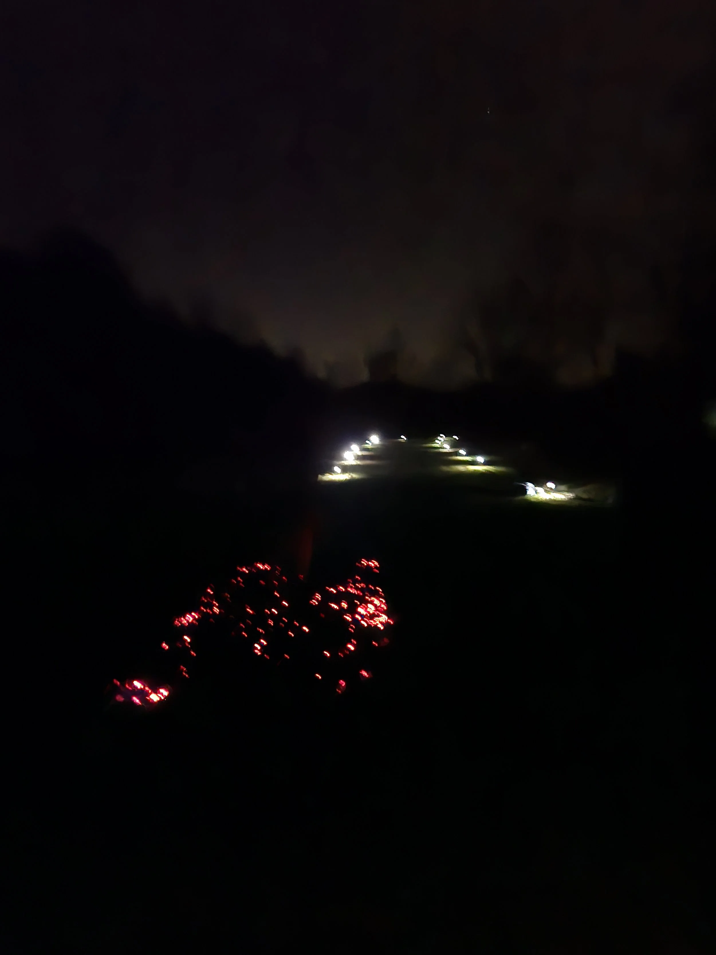 20251115_200631.jpg