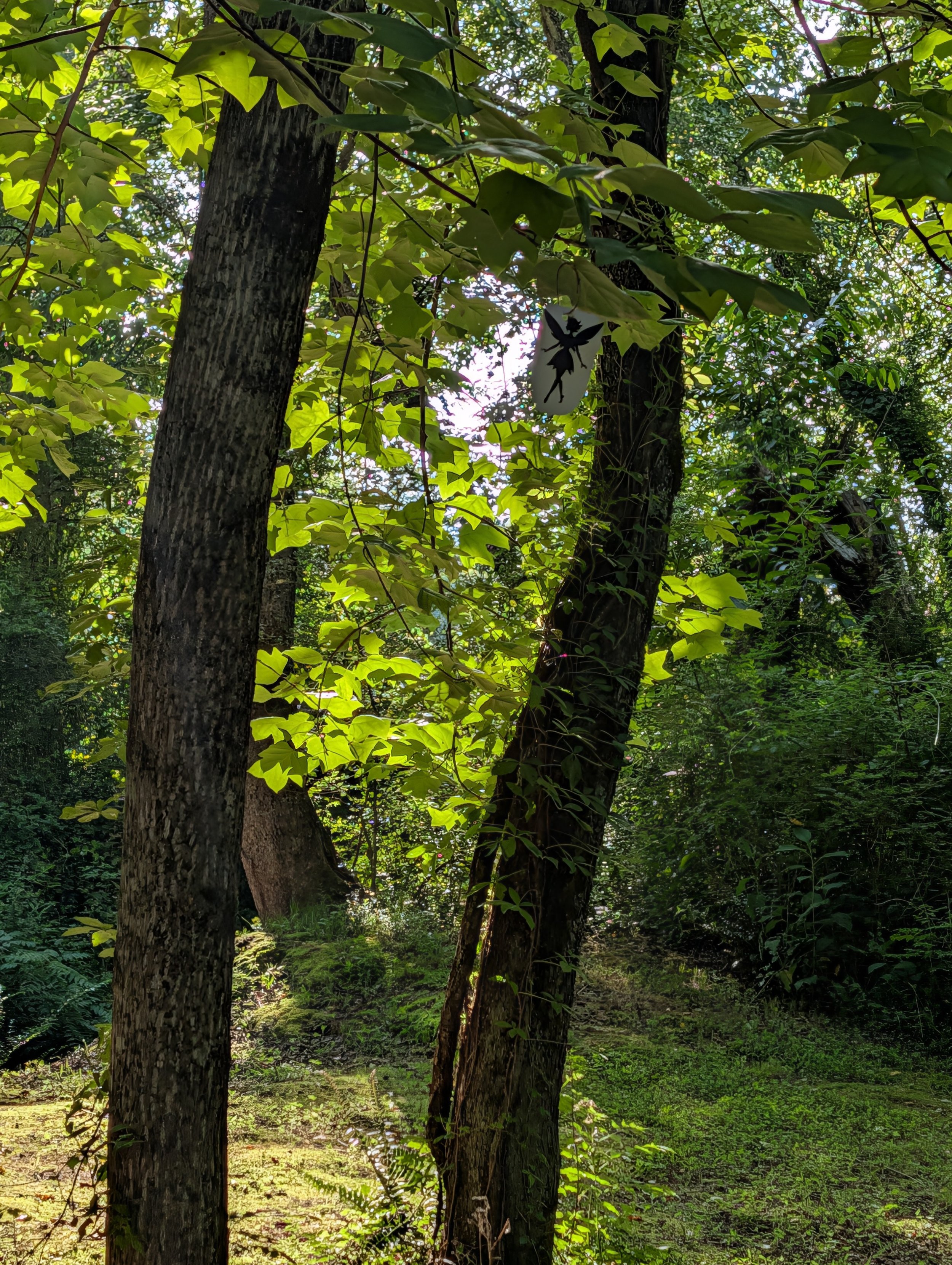 PXL_20260613_215531609.jpg
