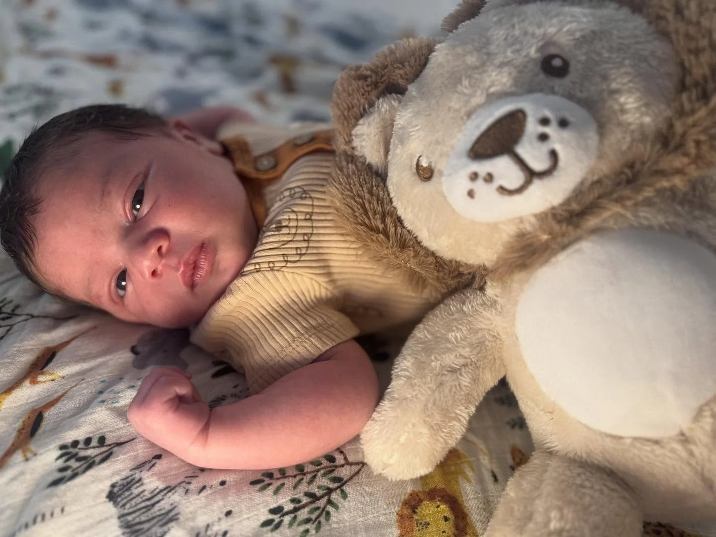 🦁✨ Our pride has grown ✨🦁
We’re overjoyed to announce the arrival of our newest little cub, Kaia, born on September 18 at a strong 9 lbs 1 oz. 💕
We’ve been soaking up the newborn bubble, and we can’t thank our incredible Lion&r