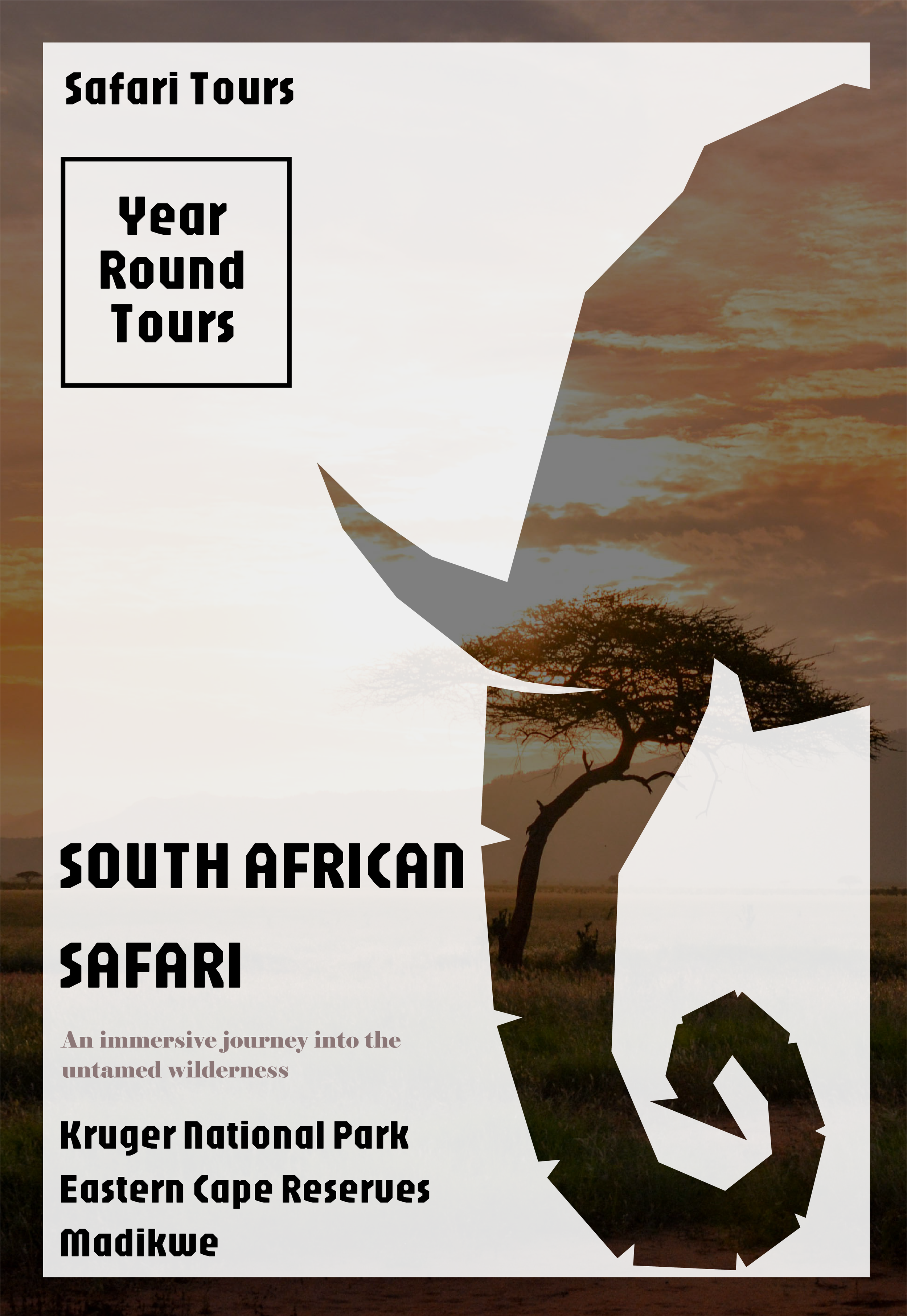 south africa safari poster.png