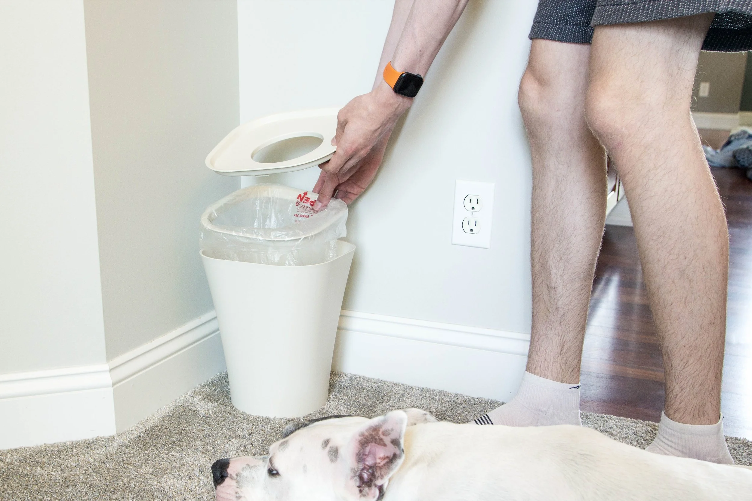 Object Capture: Trash, by Jasper Morrison for Magis