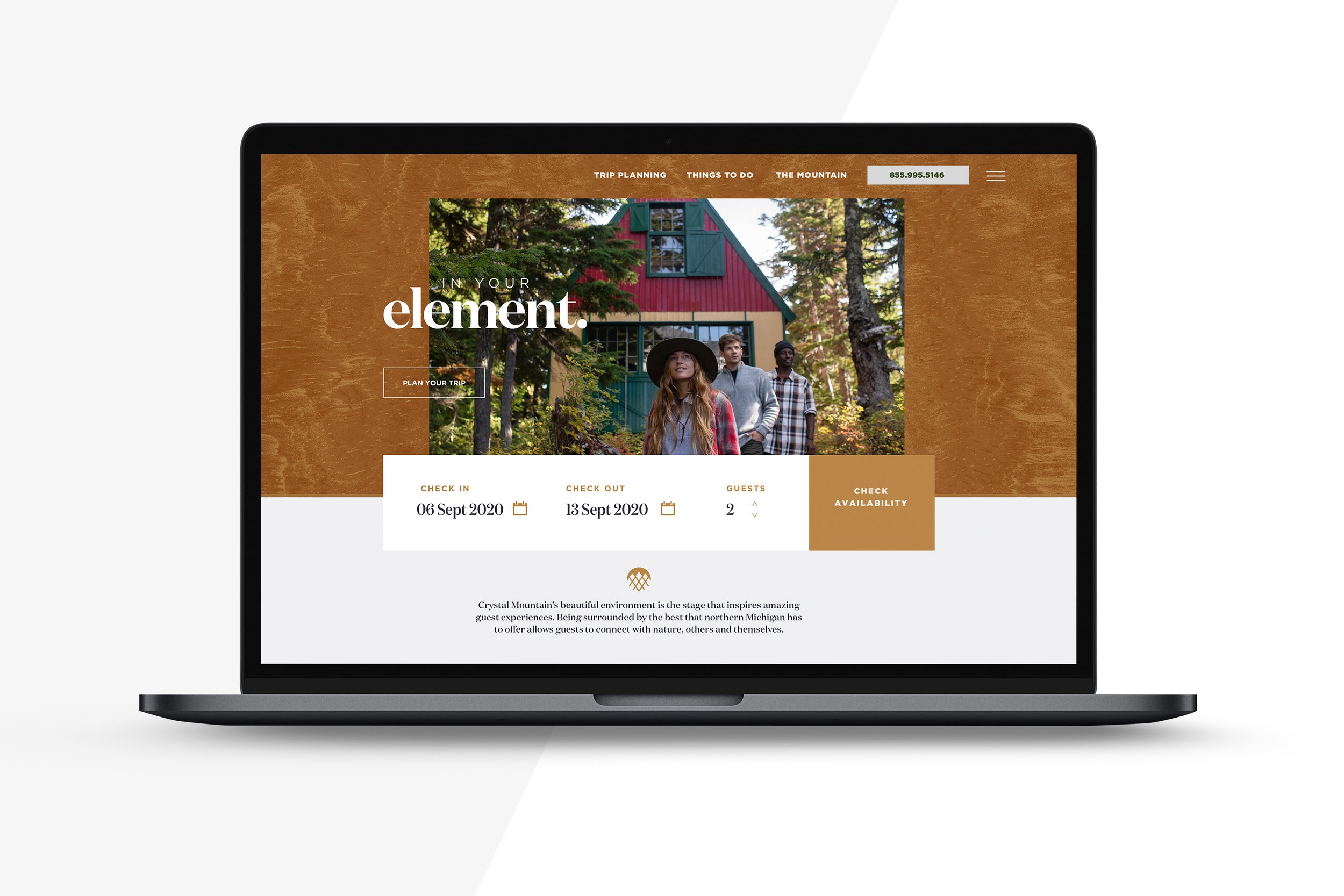 Crystal_website.jpg