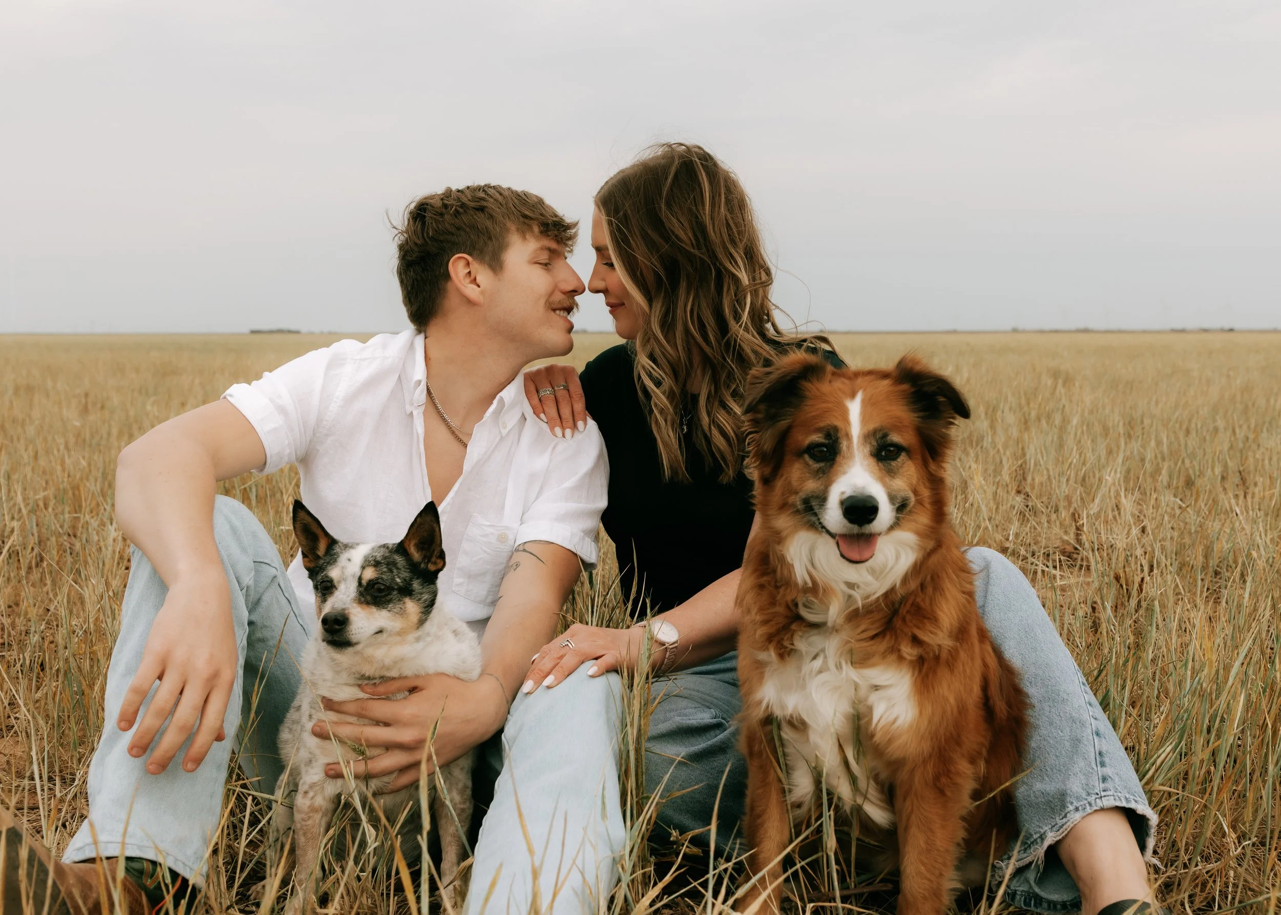 Couple portrait photography session in a grassy field with two dogs, candid outdoor photo