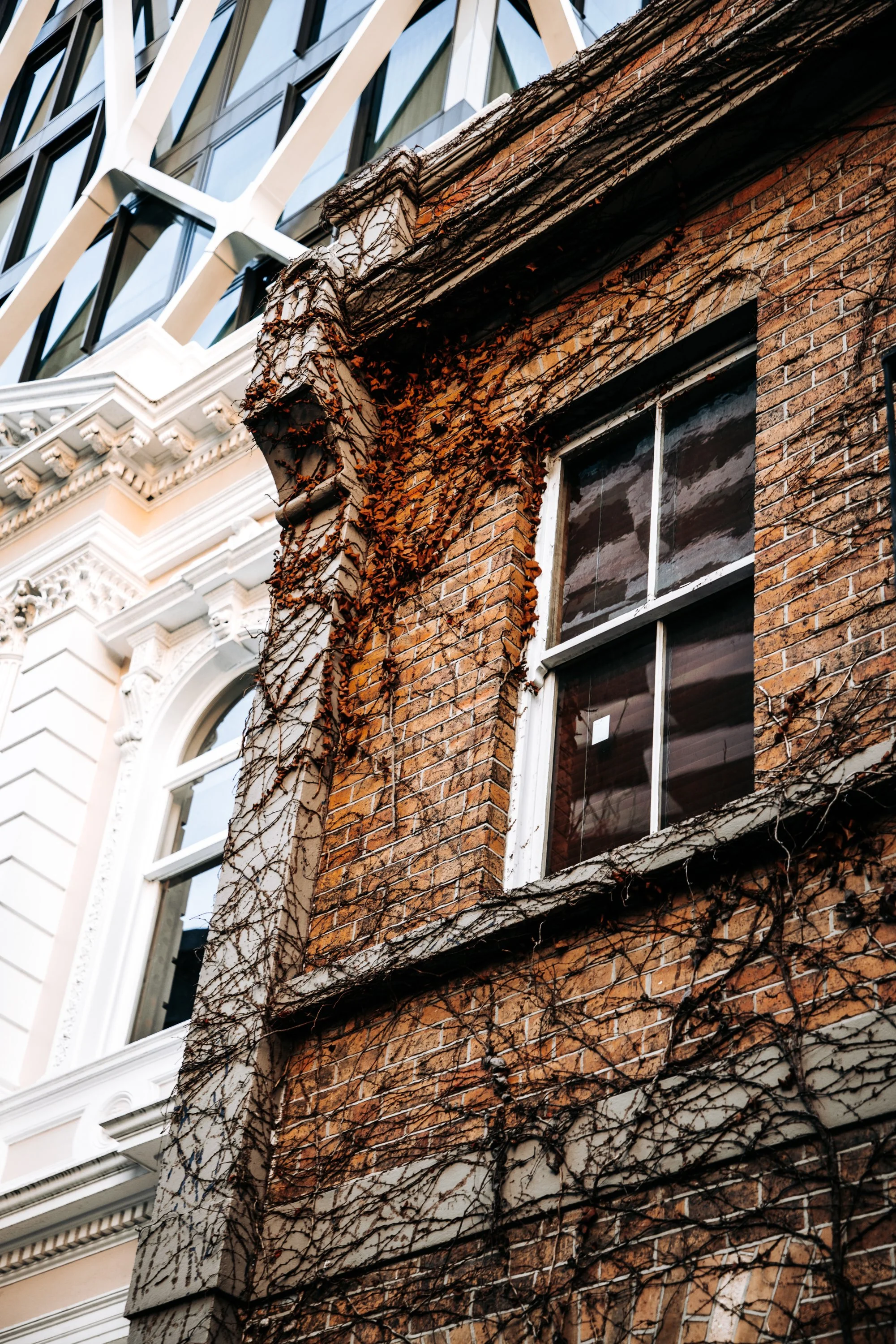 Architecture photography of historic brick building with ivy next to modern glass structure