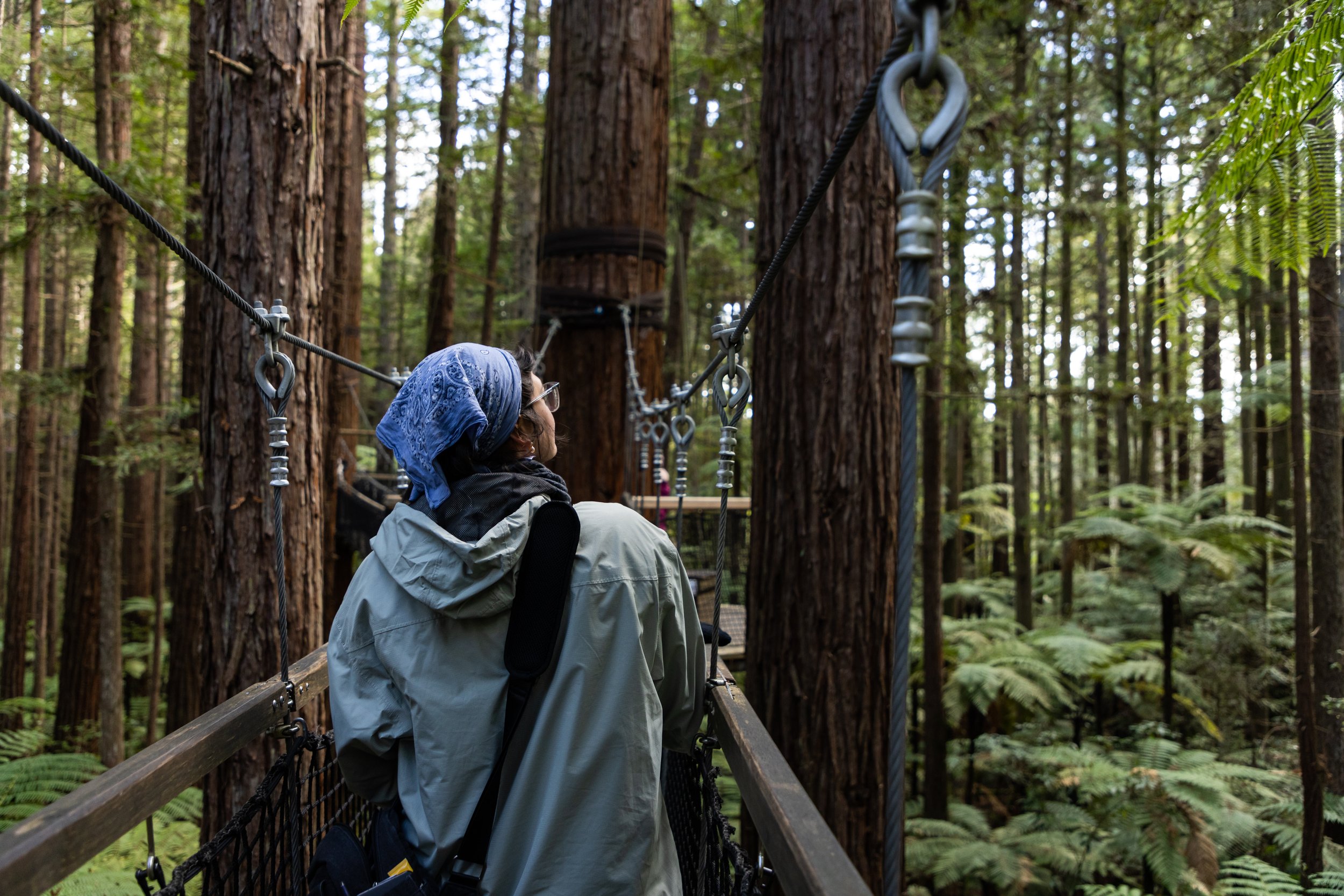 Hiker crossing a forest canopy bridge surrounded by towering trees and greenery