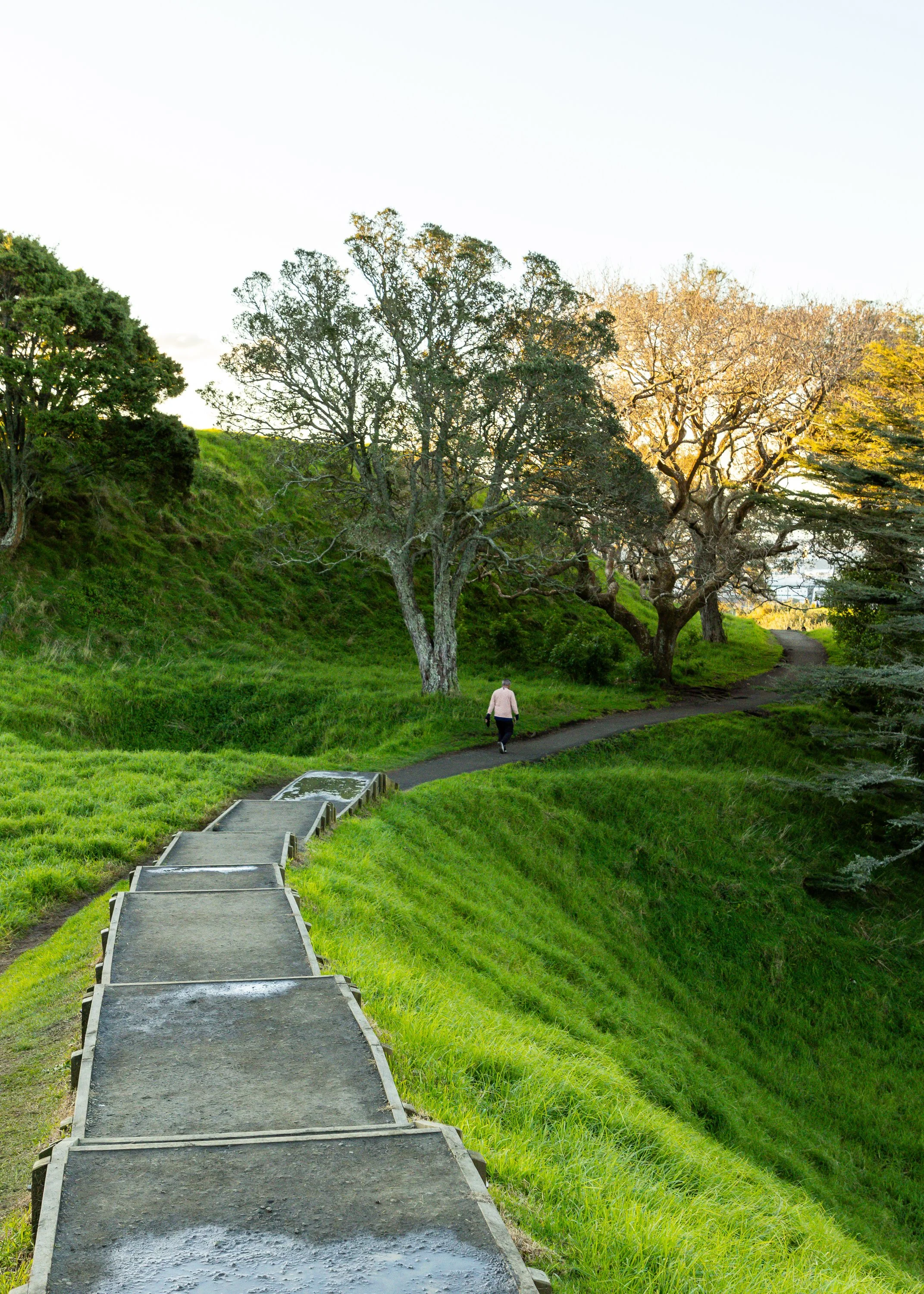 A person walking on a winding pathway through a green park with trees at sunset