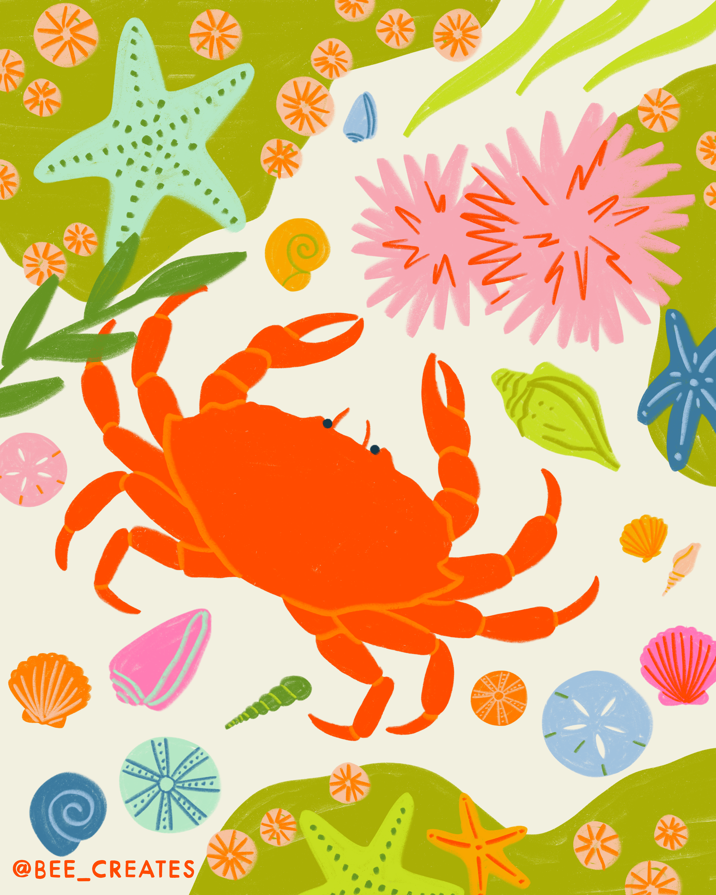 Tide Pool Treasures - White | BEE25-D82