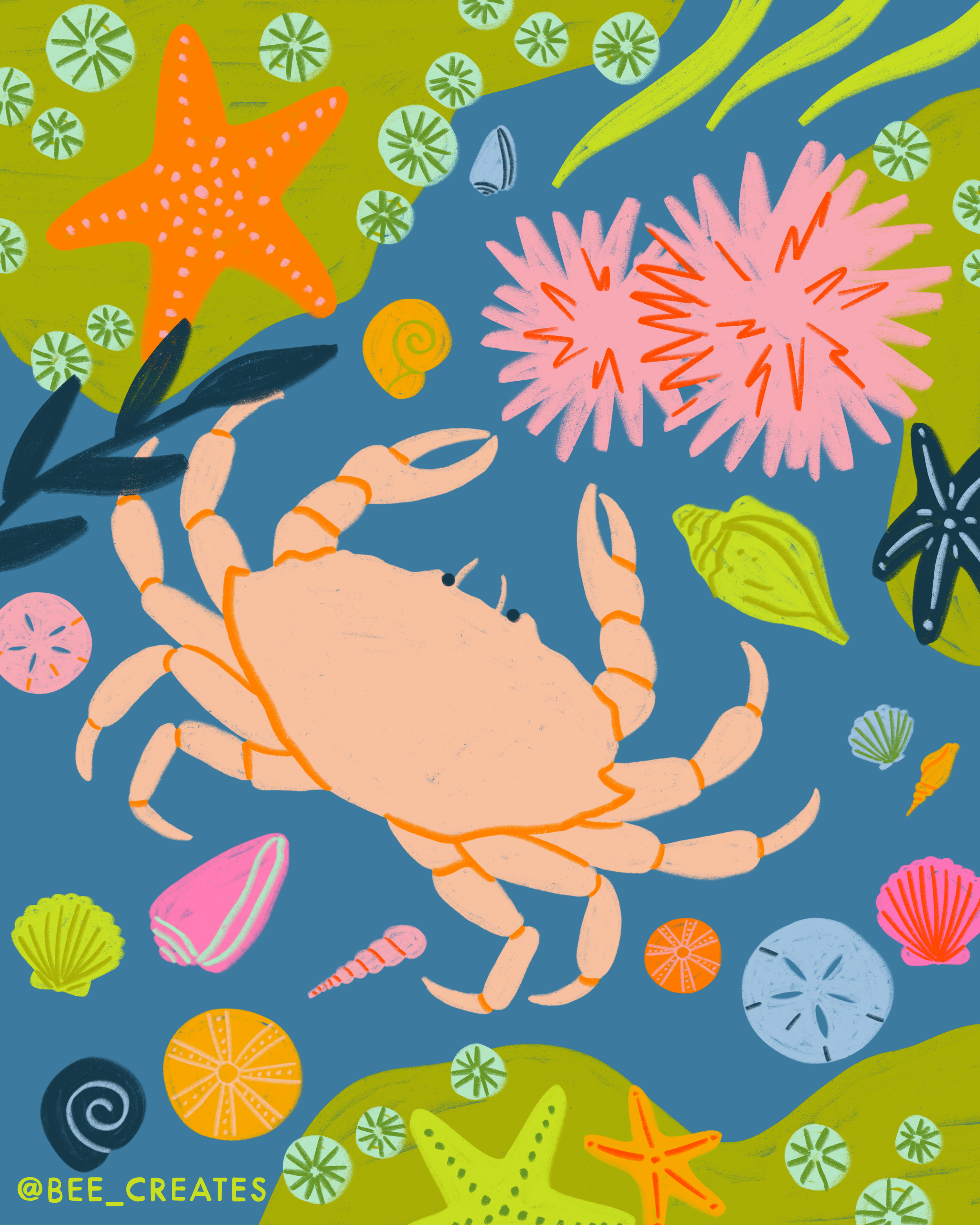 Tide Pool Treasures - Blue | BEE25-D83