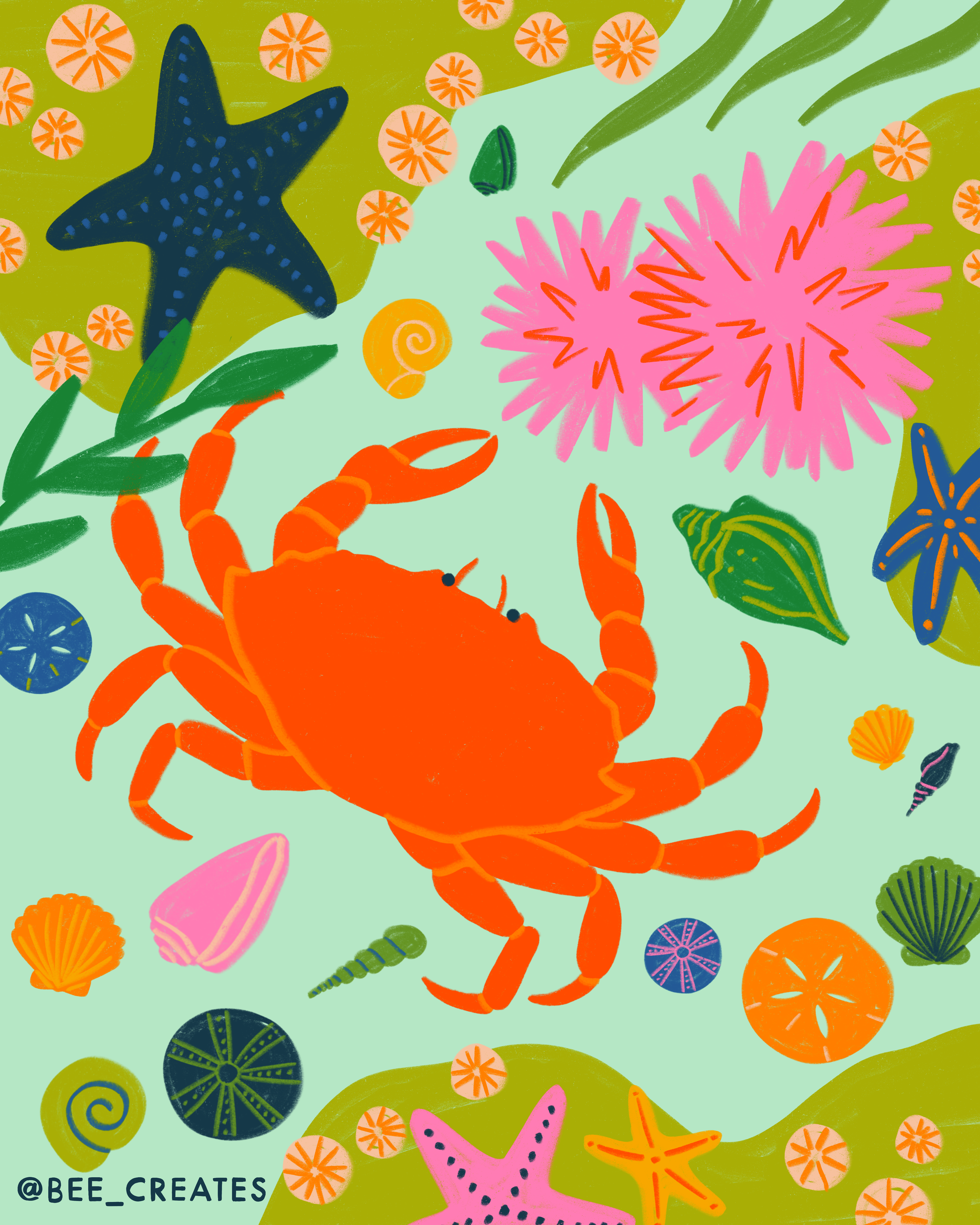 Tide Pool Treasures - Aqua | BEE25-D84