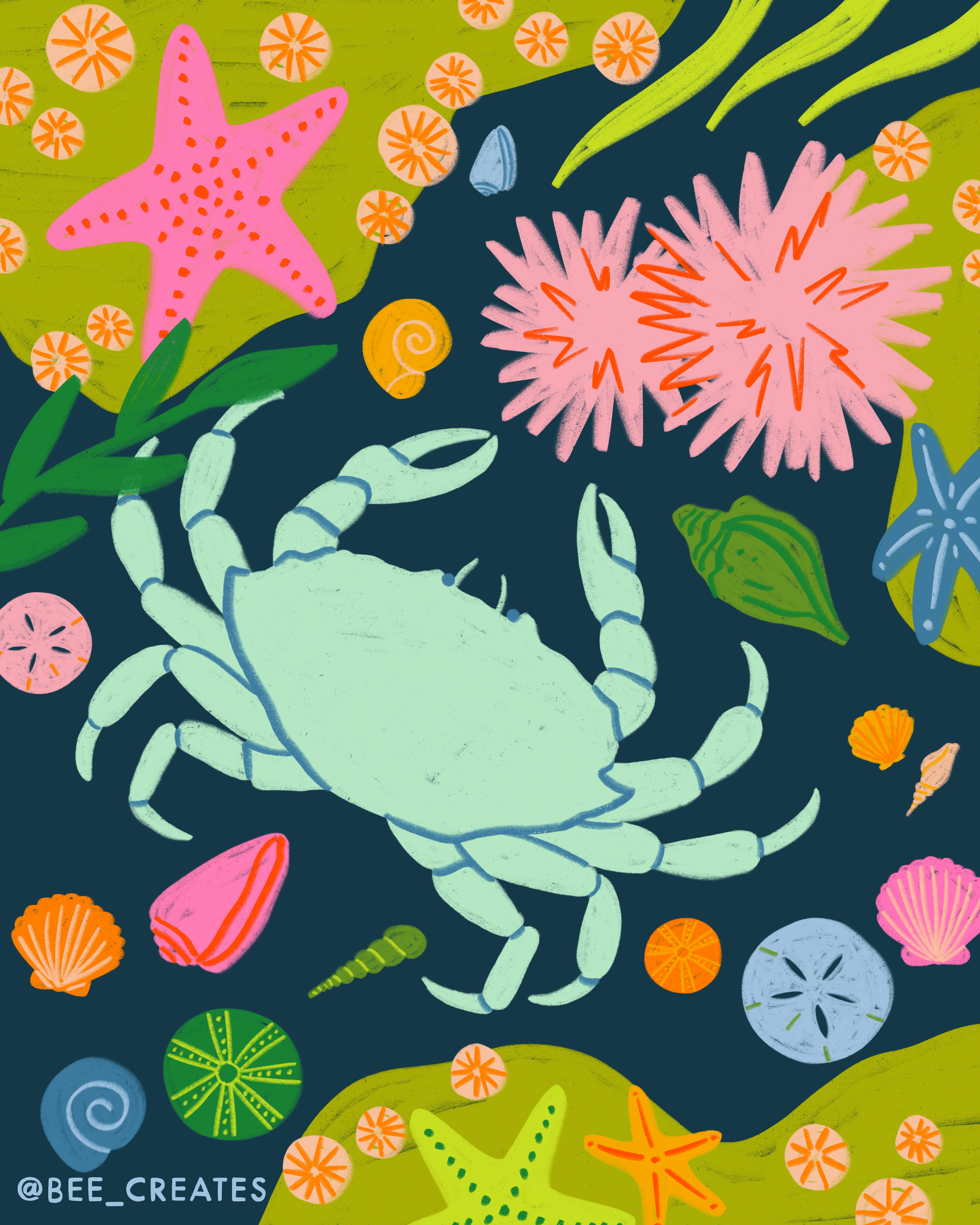 Tide Pool Treasures - Navy | BEE25-D85