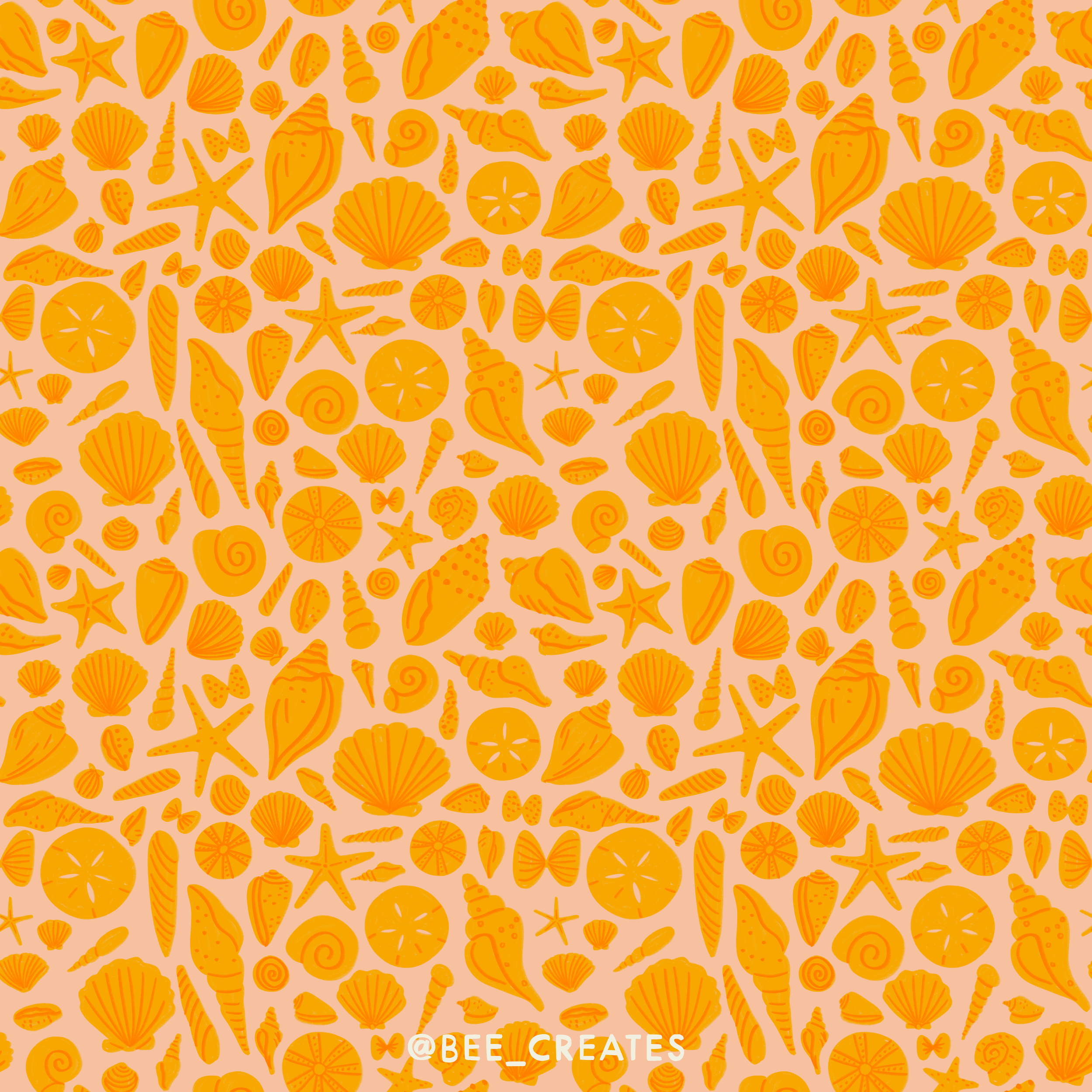 Costal Confetti - Shell &amp; Sunshine | BEE25-E39