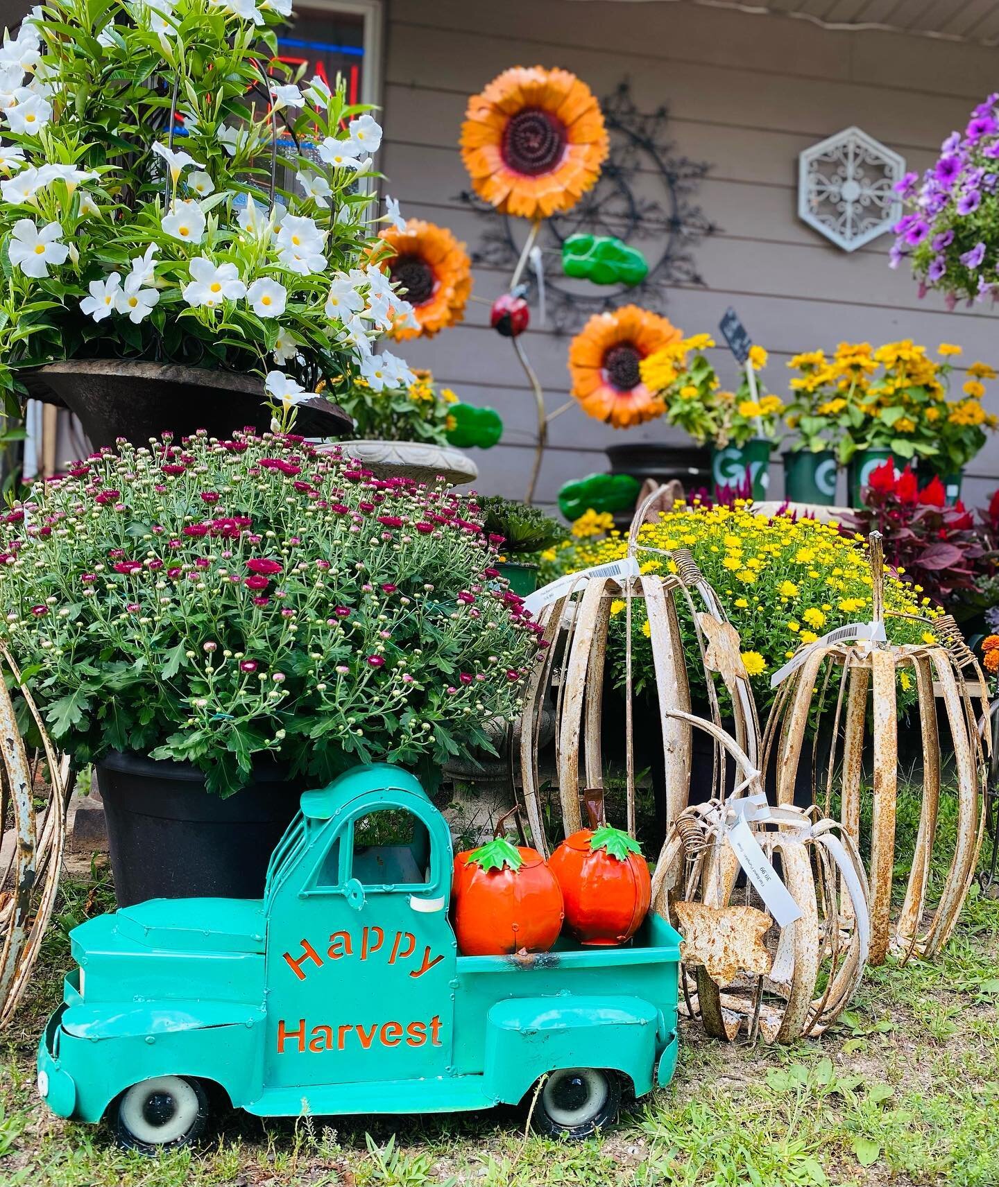 New shipments of plants and decor arrived this week. Come check it out!
Open today August 26, 10:30-5
Saturday August 27, 10-1
Closed Sunday &amp; Monday