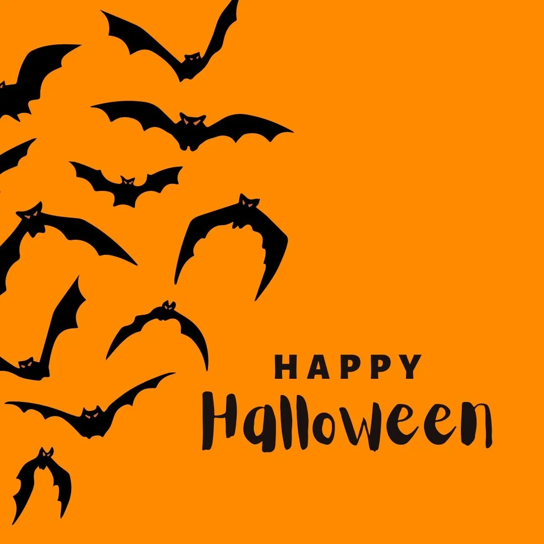 Happy Halloween from all of us at insulUSA!