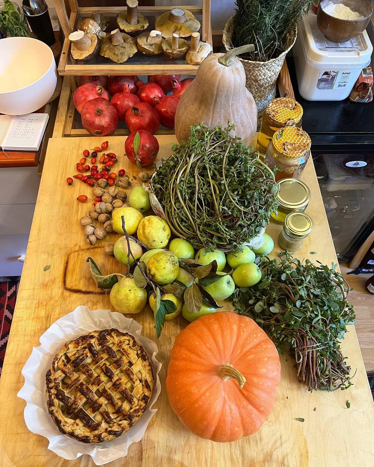 Seasonal produce from various regions of Azerbaijan at @projectflat.az 🫶🏼 Mushrooms, pumpkins, purslane, apples, rose hip, pomegranate, walnuts, honey 🍯 

(*Including pomegranates from my parents&rsquo; garden) 

.
.
.
.
.
.
.
#seasonalproduce #au
