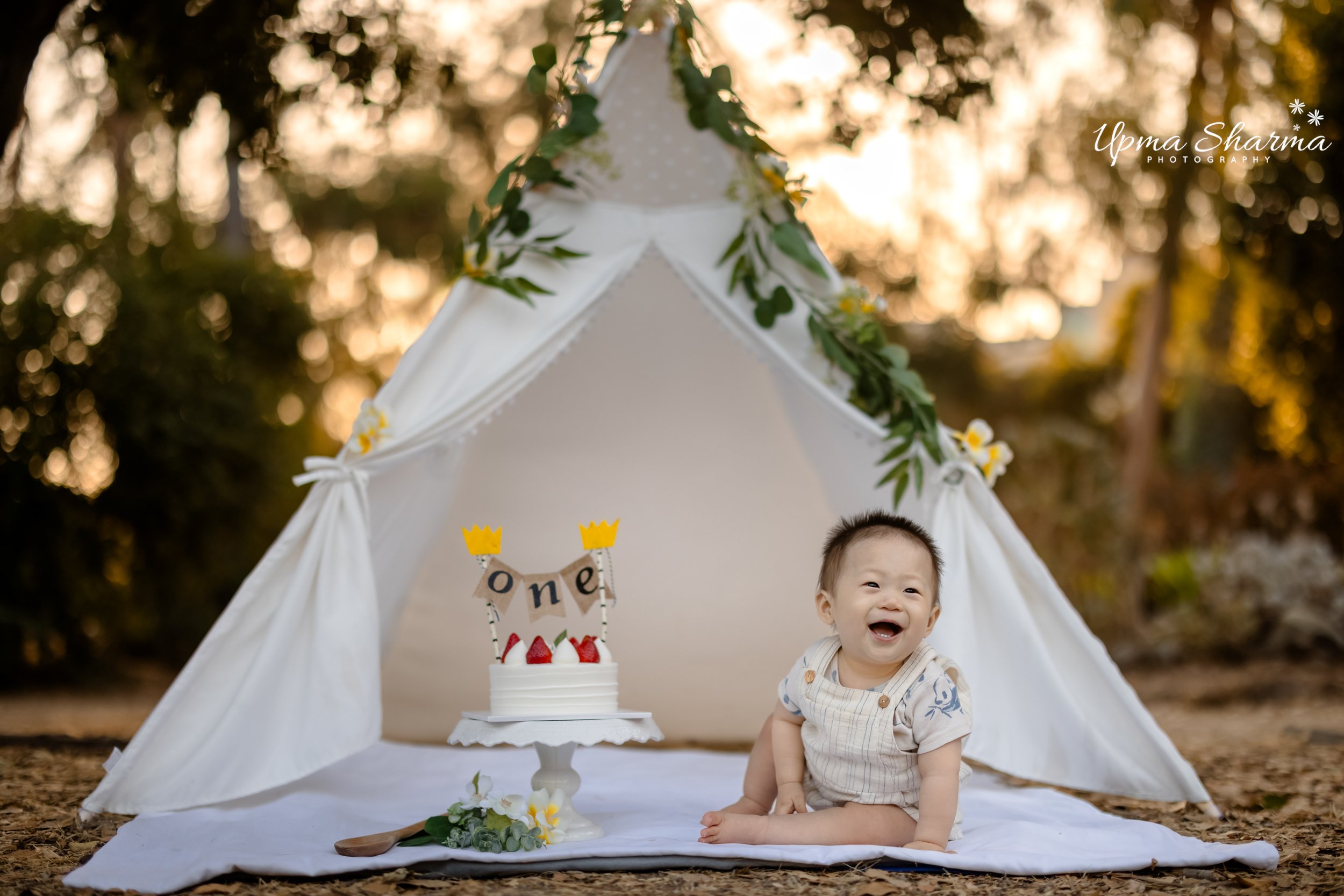 Cake Smash Photography: Celebrate the Messy and Cute Magic of First Birthdays!