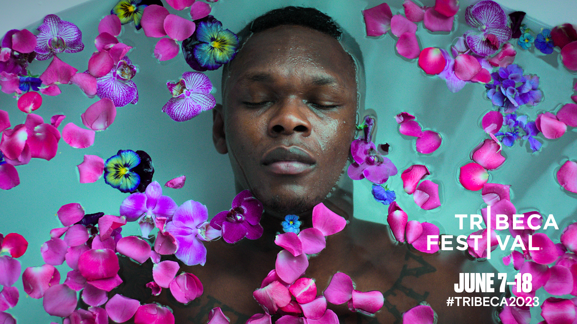 STYLEBENDER-01-Bug-16x9.png