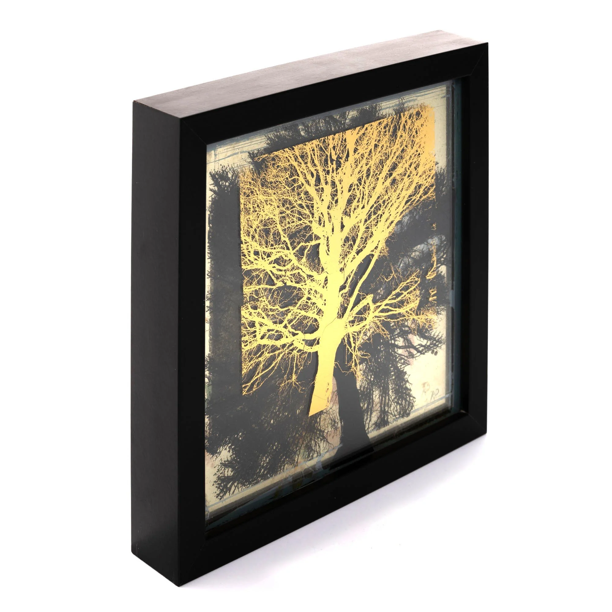 20260227_RachelPhillips_DTL_117 HILITE.jpg