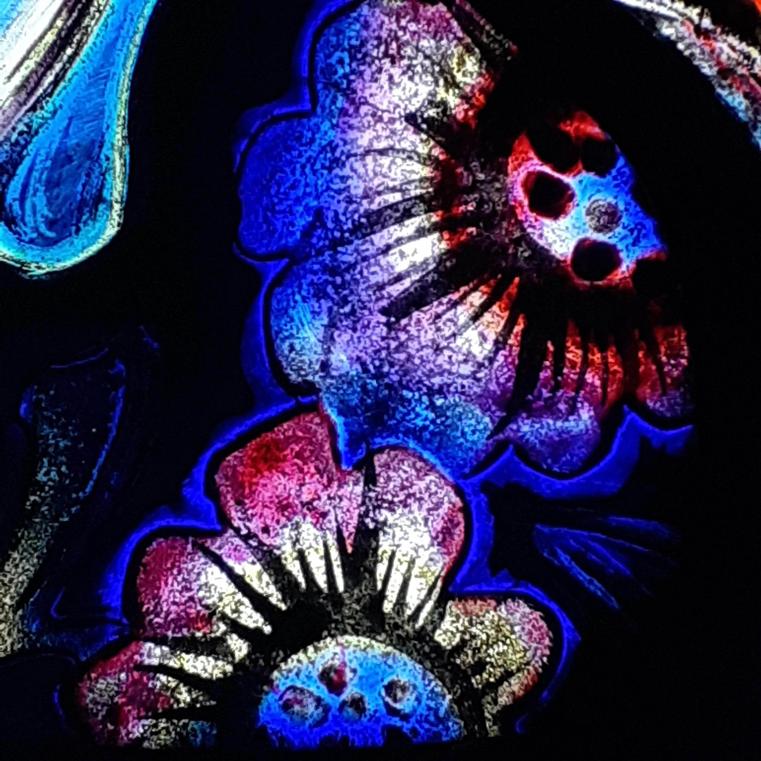 20240628_235630.jpg