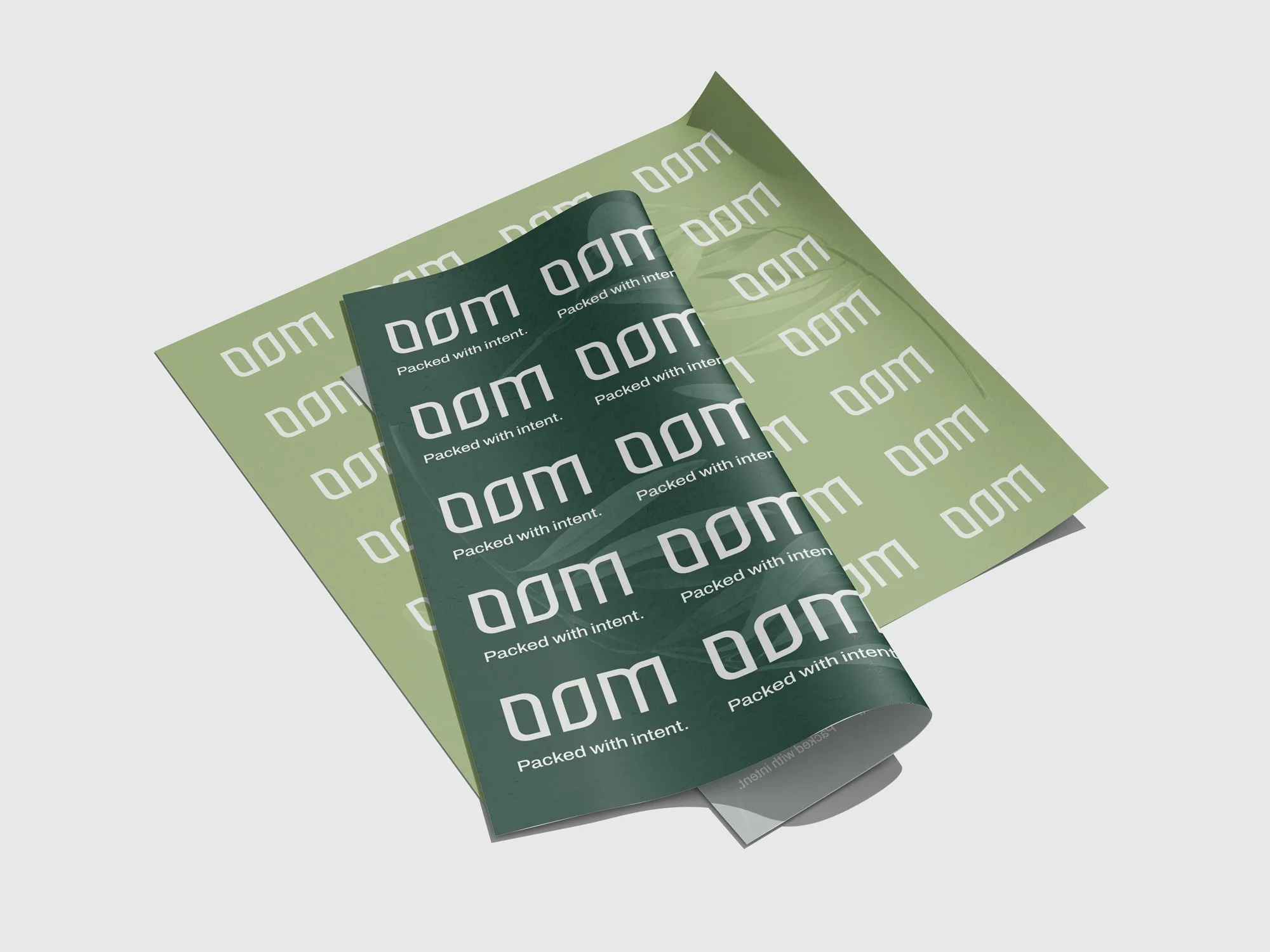 01-PAPER.jpg