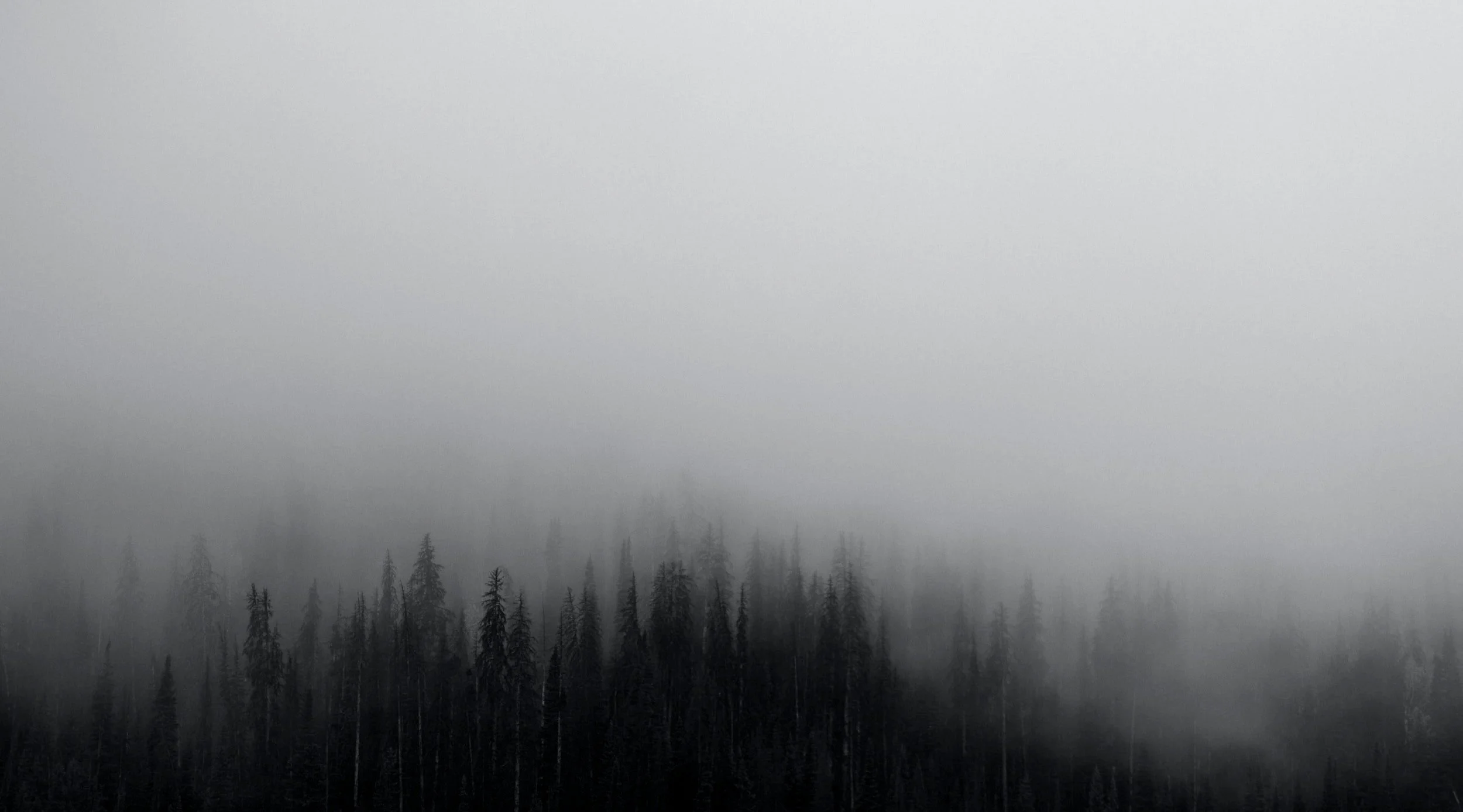 unsplash-image-37ZuGYD3JOk.jpg