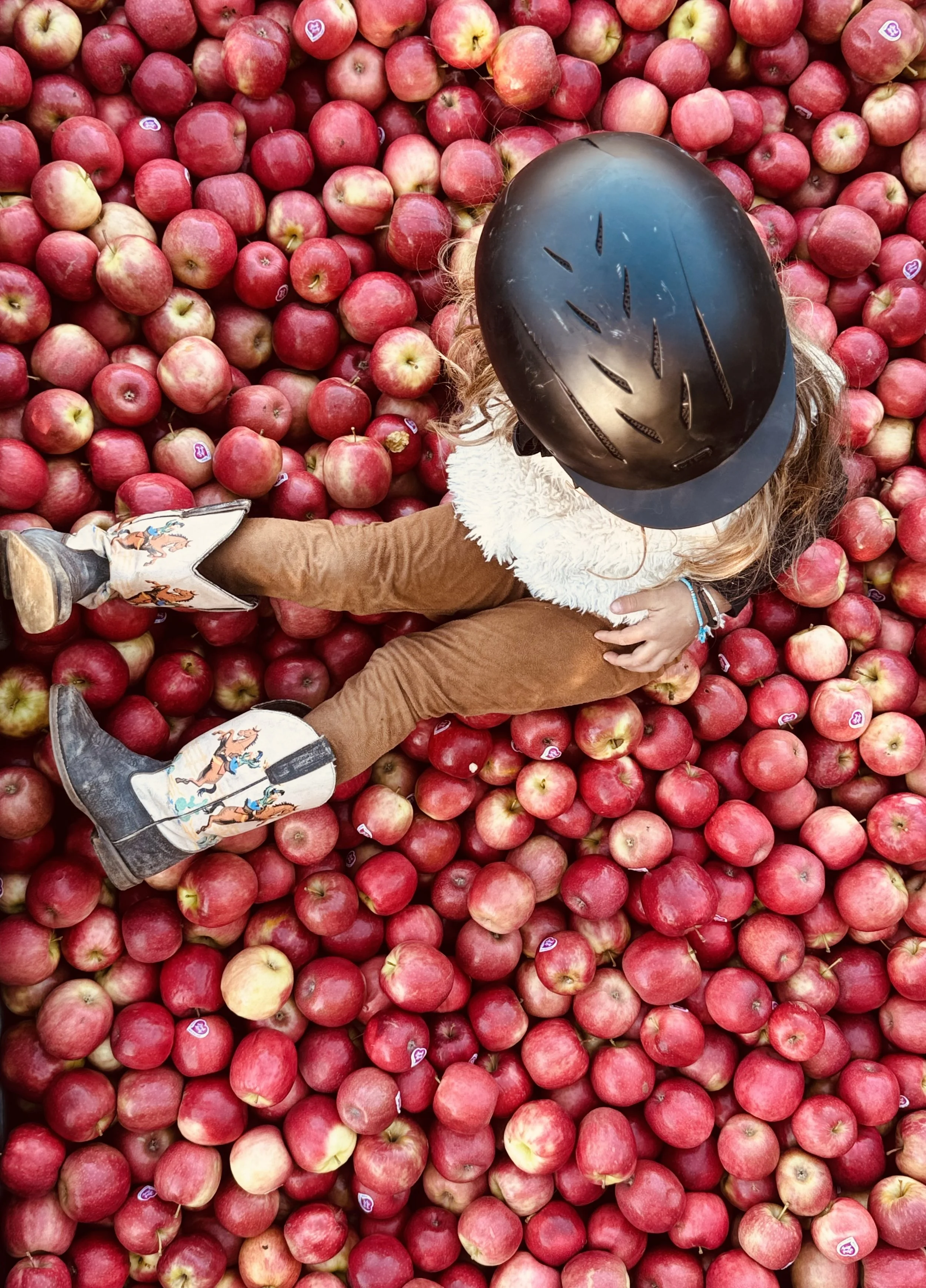 Apple dreams.jpeg