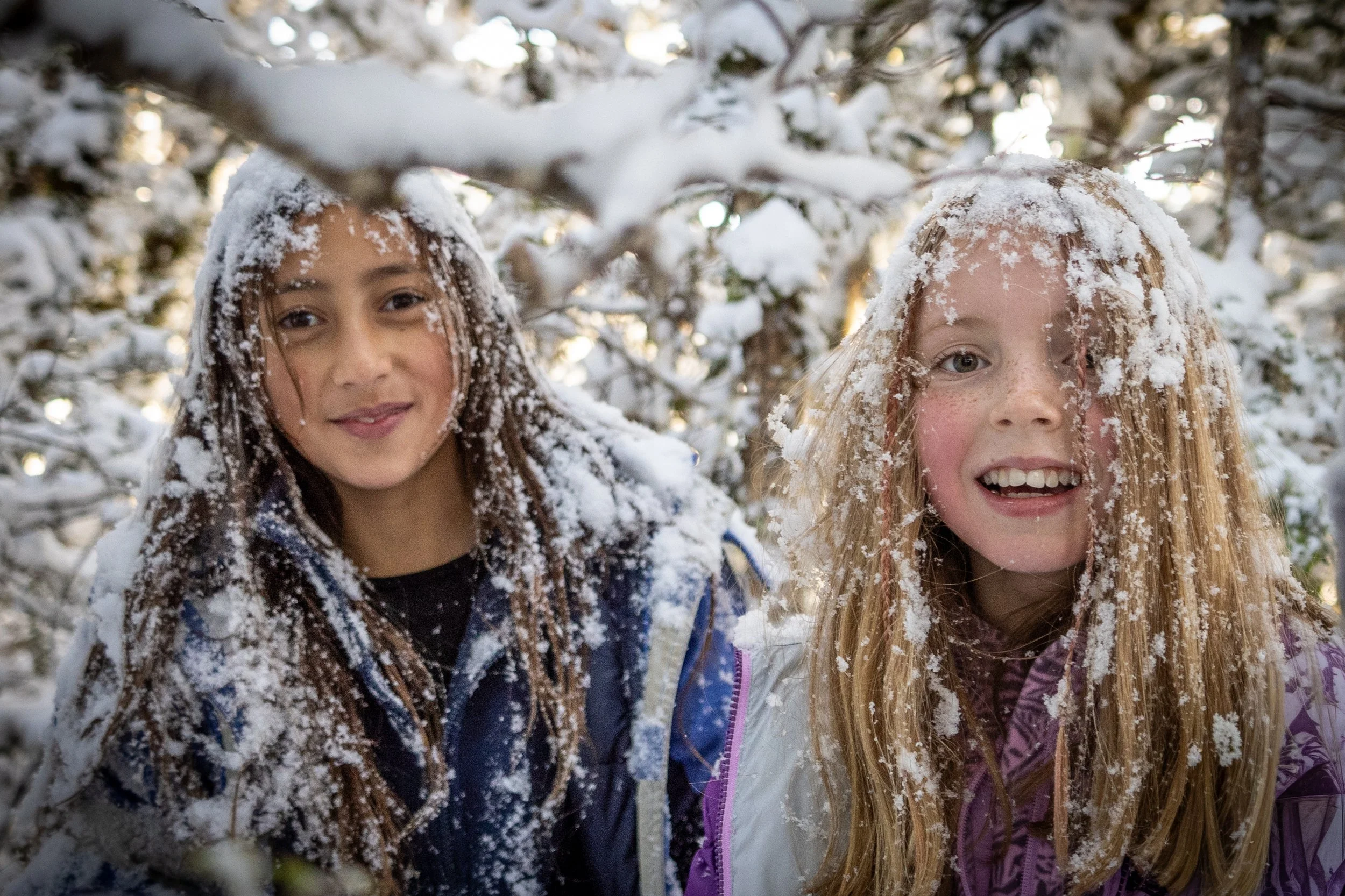 Winter Hair on Mt Arthur.jpg