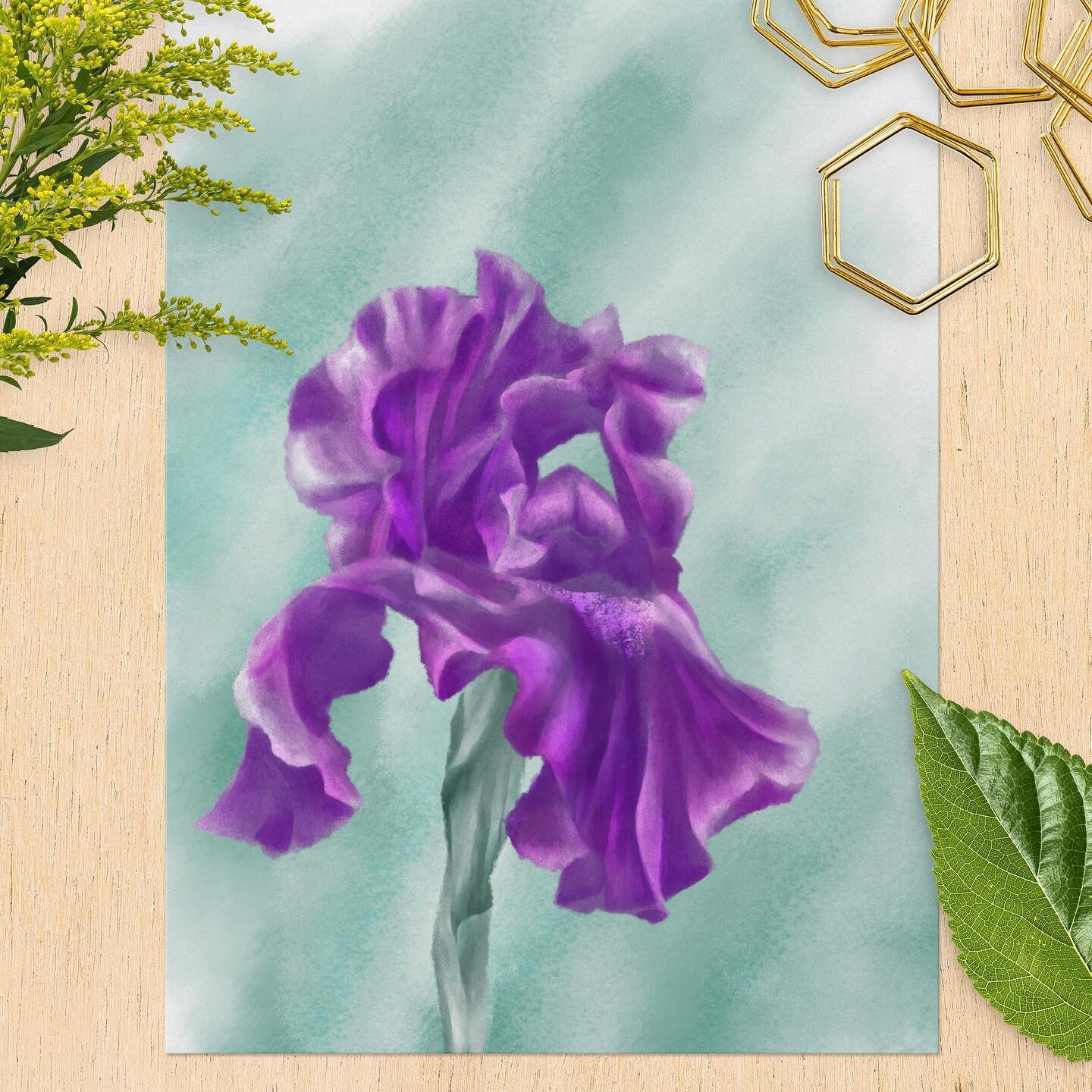 Irises are one of the last types of flowers I remember seeing every October before the first frost. Love their brilliance
.
.
.
.
.
.
.
.
.
.
.
.
.
#flowerstagram #iris #watercolorflowers #floralwatercolor #watercolorart #w