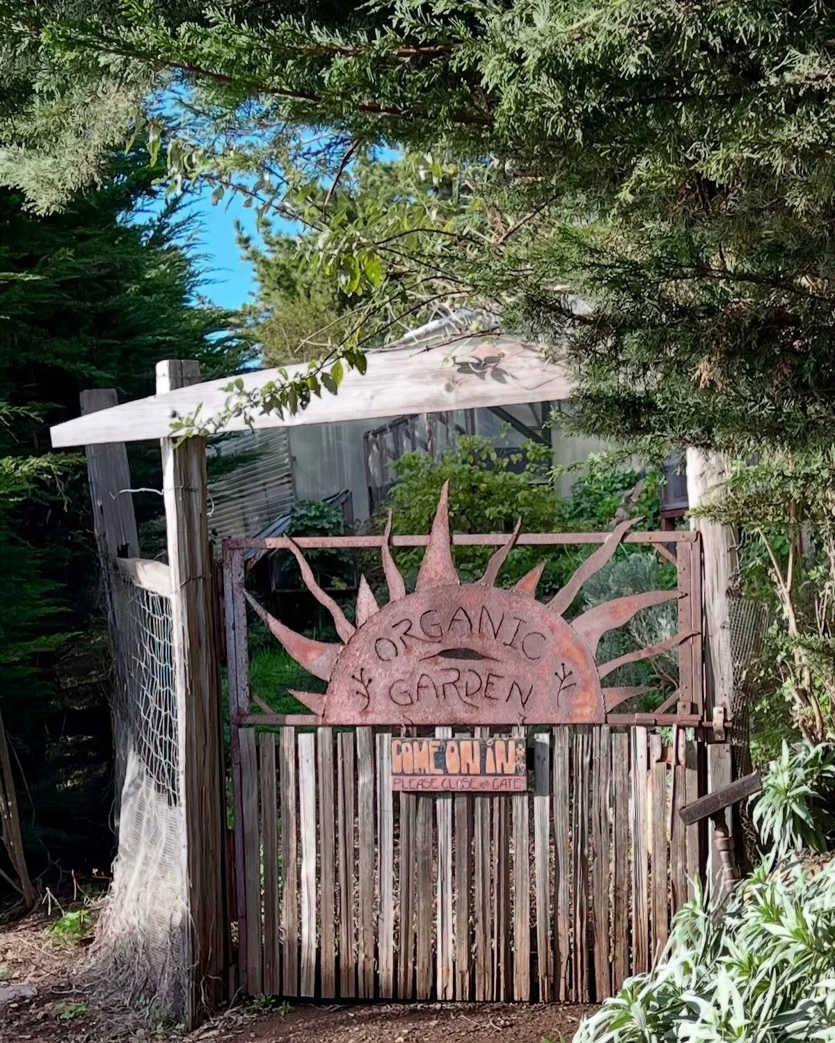 🍃 ✨ Farm-to-Table at Treebones Resort🌱 
Guests are encouraged to take a self-guided tour of the organic garden &ndash; it&rsquo;s truly a spectacular experience to wander the ocean front farm and then enjoy the fresh delicacies in the Restaurant an