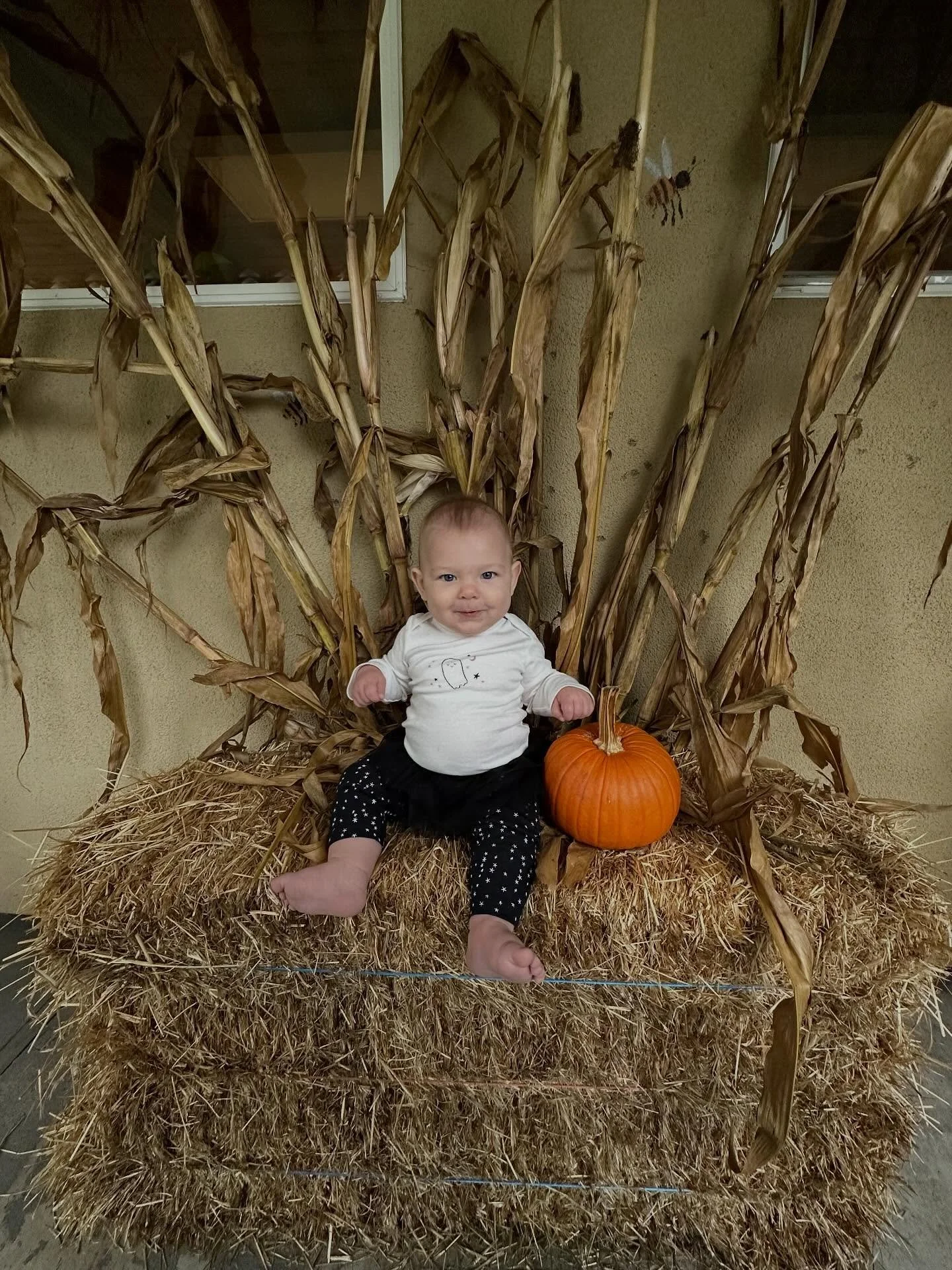 RCD Halloween fun from our infant to preschool classrooms!! 🎃👻🧡

#infantcare #preschoolcare #toddlercare #enrollingnow #preschoolenrollment #toddlerenrollment #infantenrollment #preschool #preschoolnearme