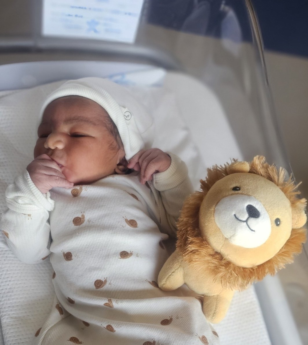 5167244547347114077 2.jpg