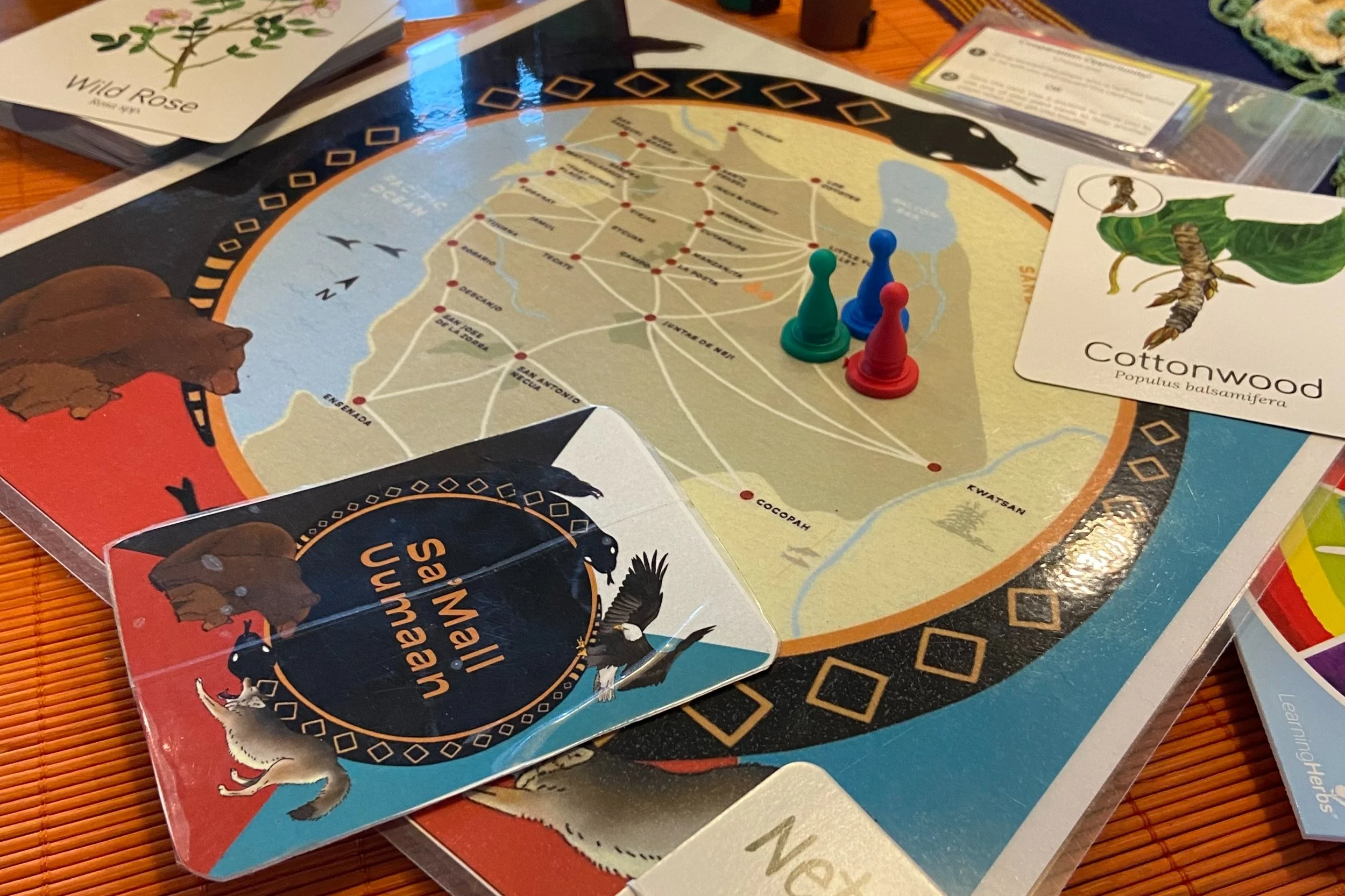 Indigenous Regeneration