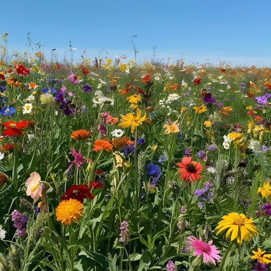 April 10-16: The Power of Sacred Completion