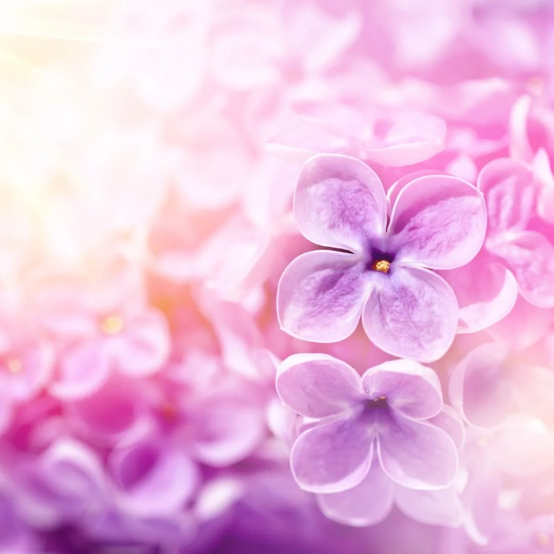 June 19-25: The Power of Loving Humanity