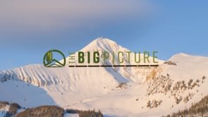 Sustainability: The Big Picture