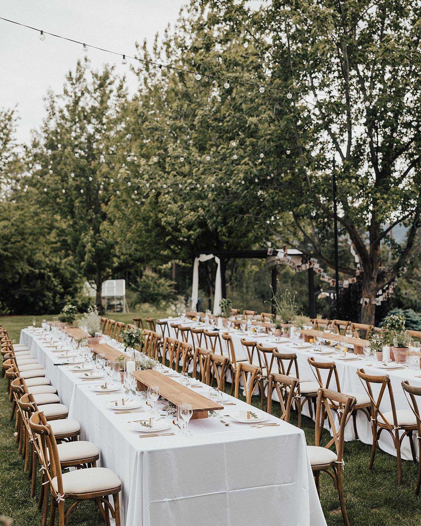 PRO TIP: consider the style of meal you are serving at your wedding or event before deciding on your place settings + table decor. 

For a plated meal or a buffet you can use a charger plate to fill the table and elevate your guests&rsquo; place sett