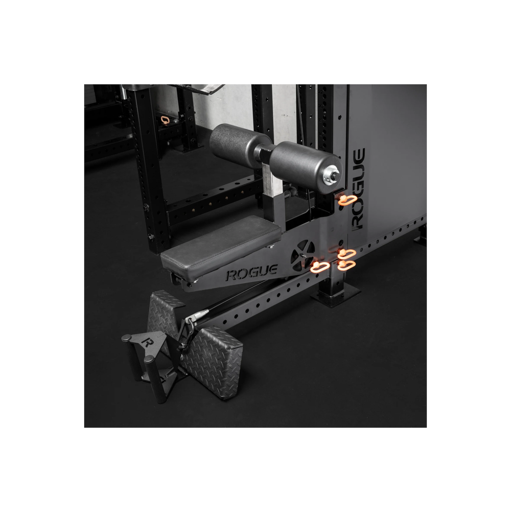 Human Body Shoulder Muscles Names Gym Human Body Parts Muscle