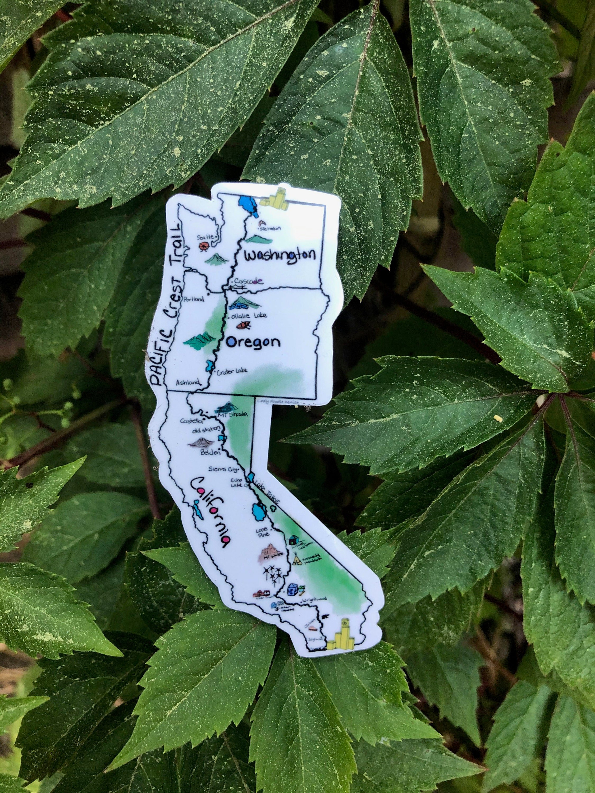 https://i.etsystatic.com/21555677/r/il/bf567e/2428237911/il_fullxfull.2428237911_5zx6.jpg
