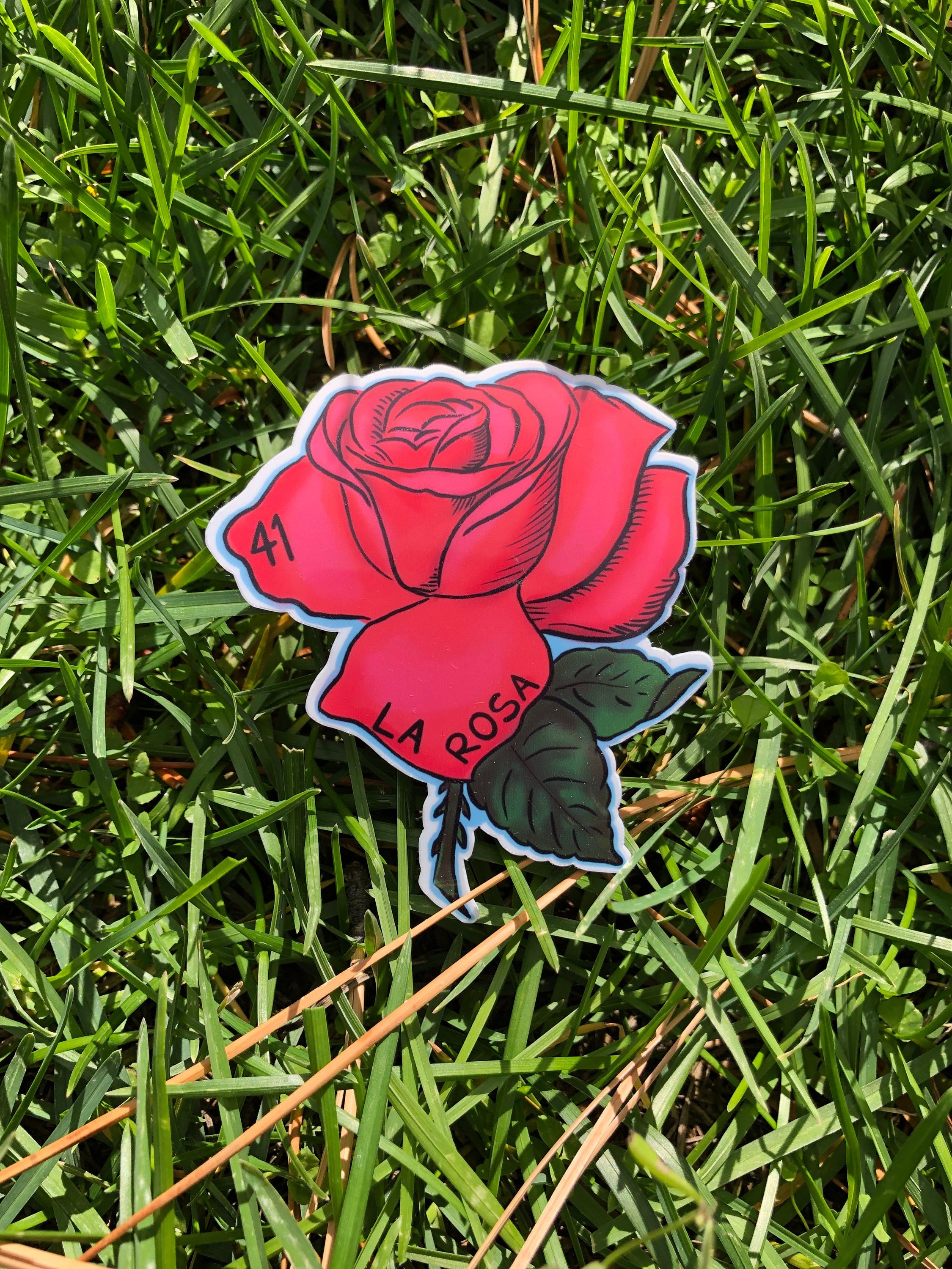 https://i.etsystatic.com/21555677/r/il/575f9d/5483023475/il_fullxfull.5483023475_pamb.jpg