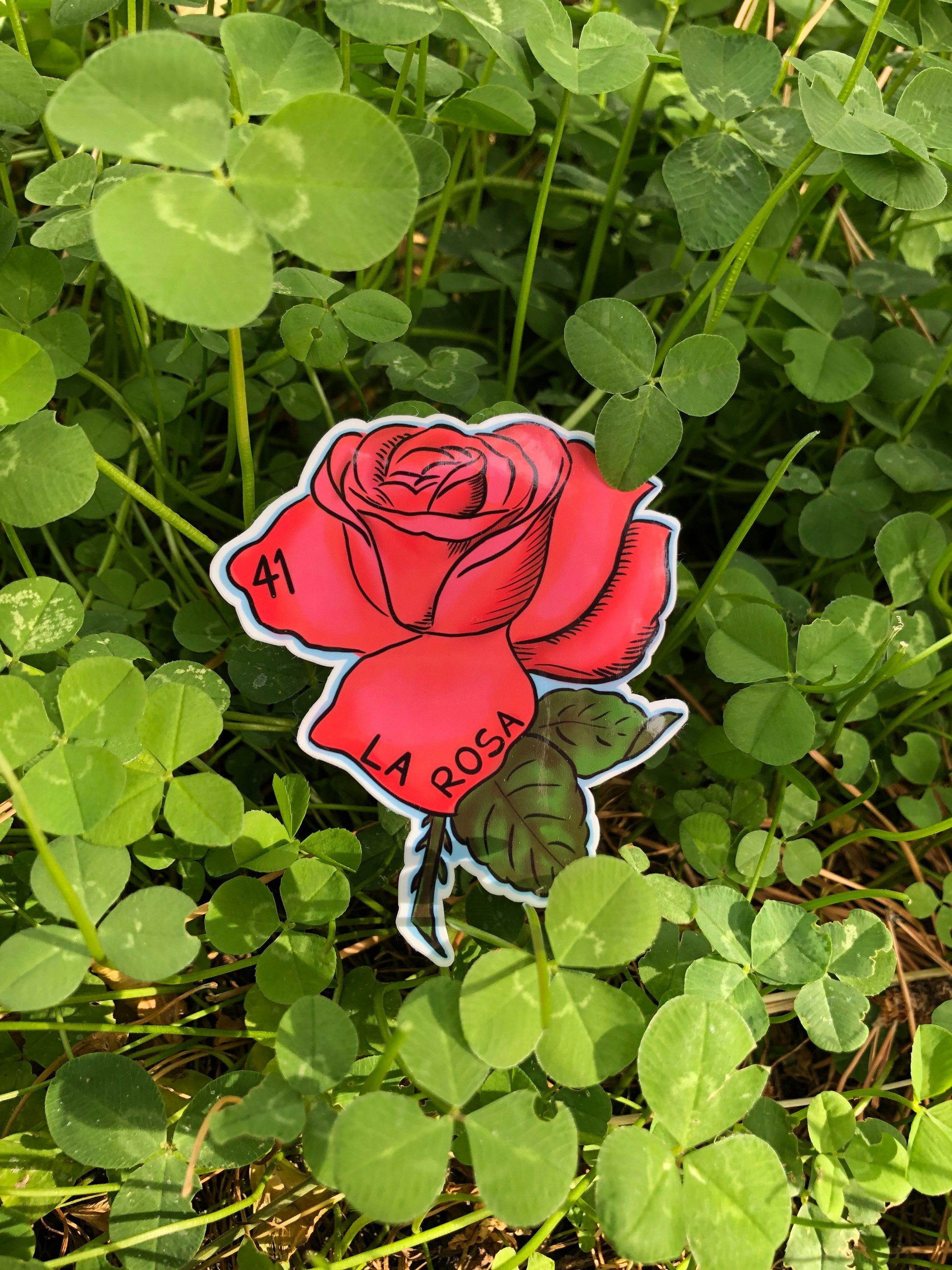 https://i.etsystatic.com/21555677/r/il/86b0cb/4351375797/il_fullxfull.4351375797_ngyv.jpg