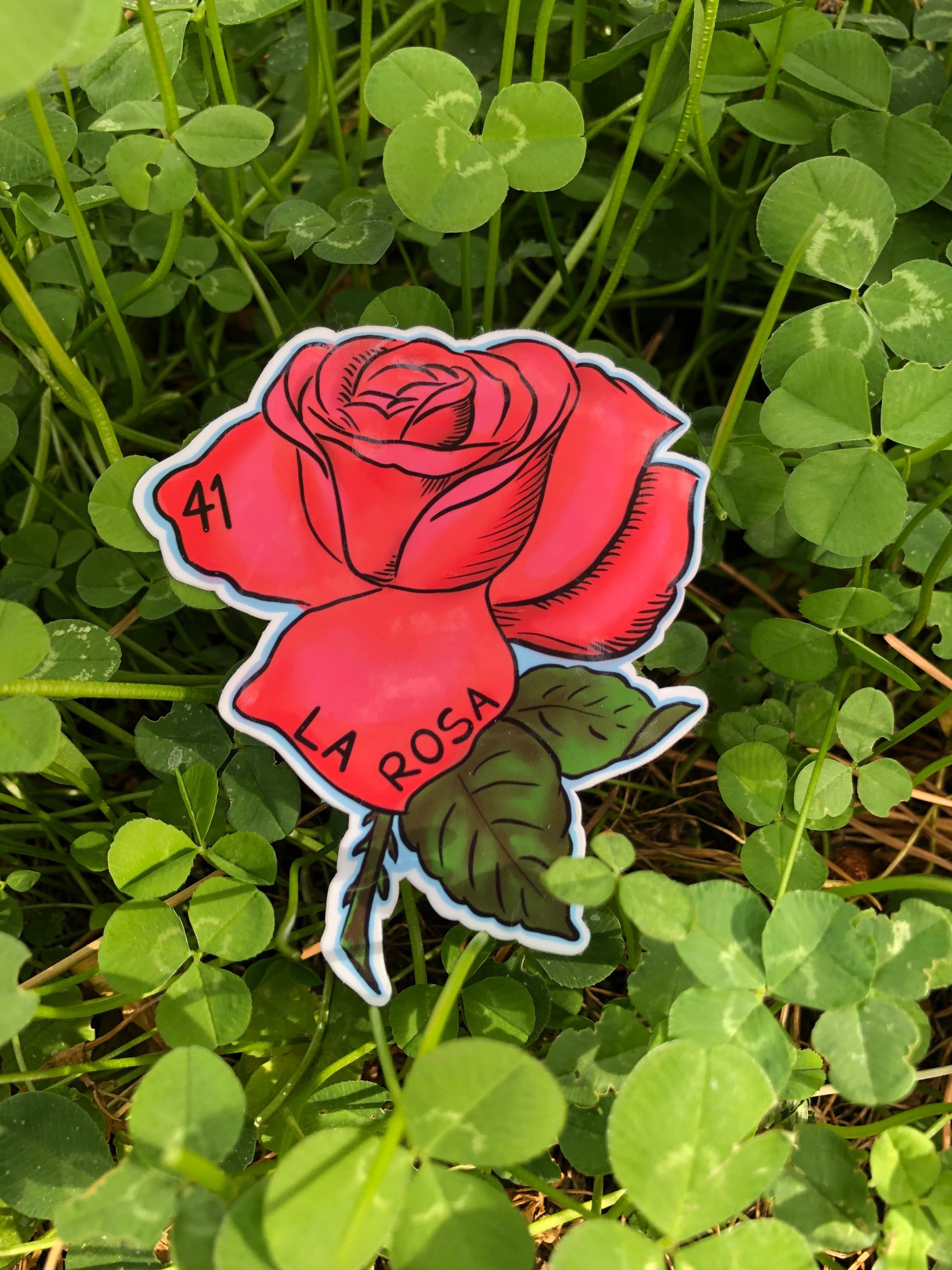 https://i.etsystatic.com/21555677/r/il/1befcb/4303985170/il_fullxfull.4303985170_985v.jpg