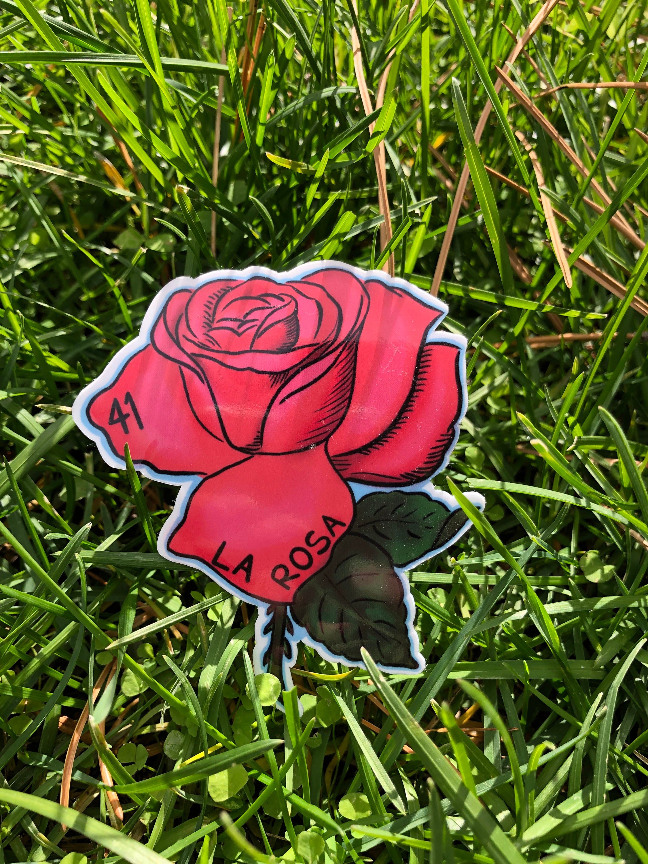 https://i.etsystatic.com/21555677/r/il/e3787b/5483023471/il_fullxfull.5483023471_4zpn.jpg