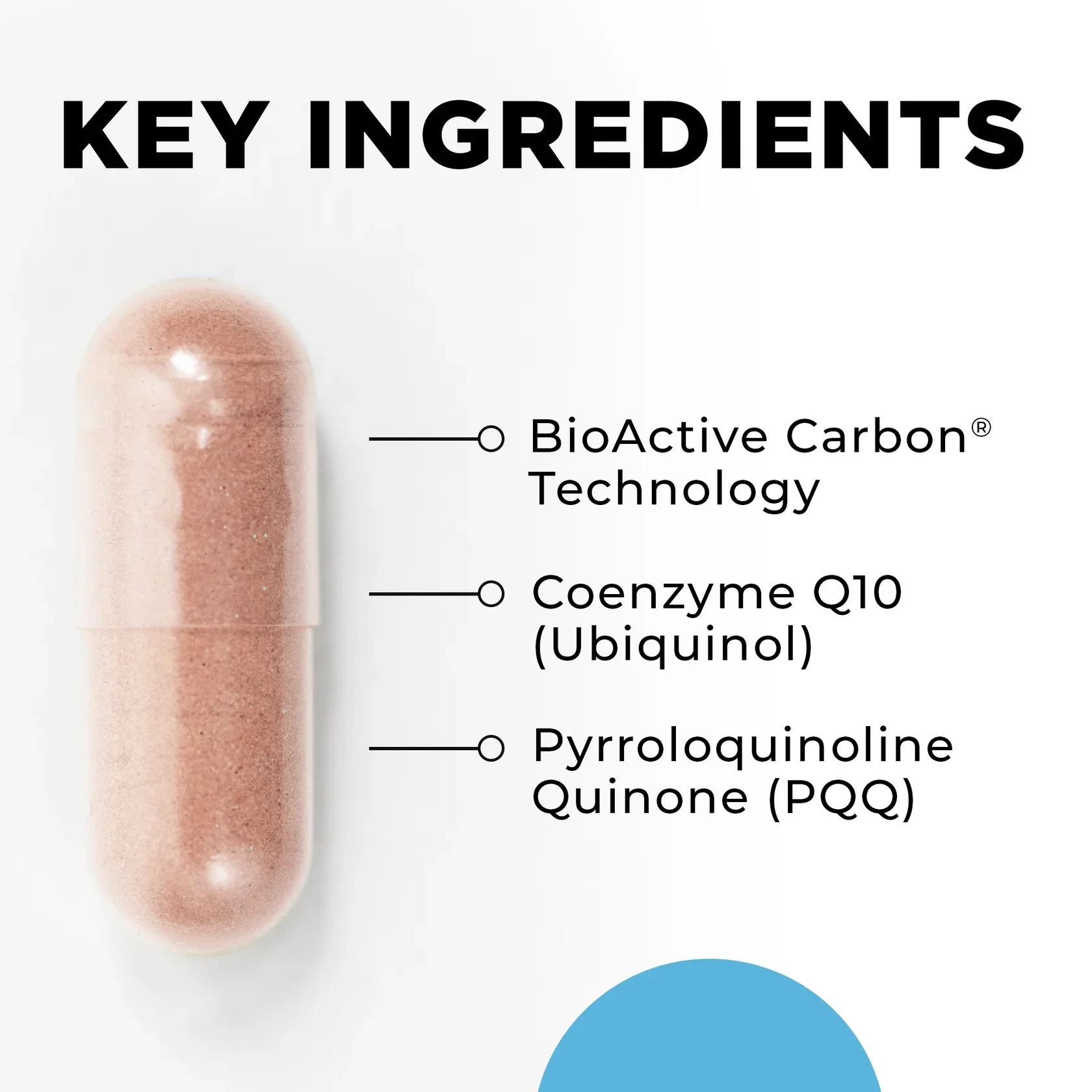 MitoActive_Ingredients_4882ac62-824b-4642-964f-fed2cbf18b6e_1680x.webp