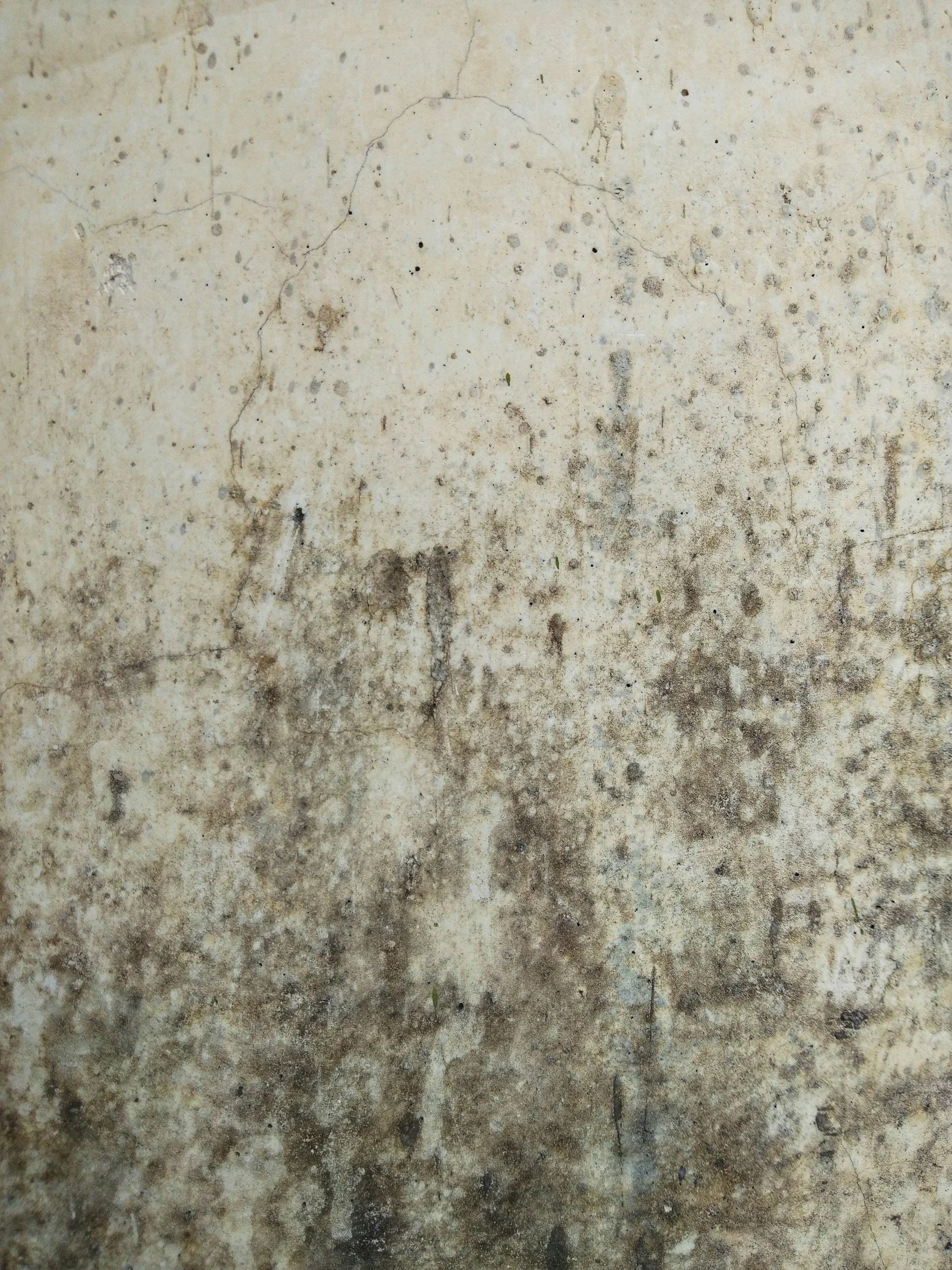 Close-up of a grungy, weathered concrete wall with mold and mildew stains creating a textured, aged appearance.