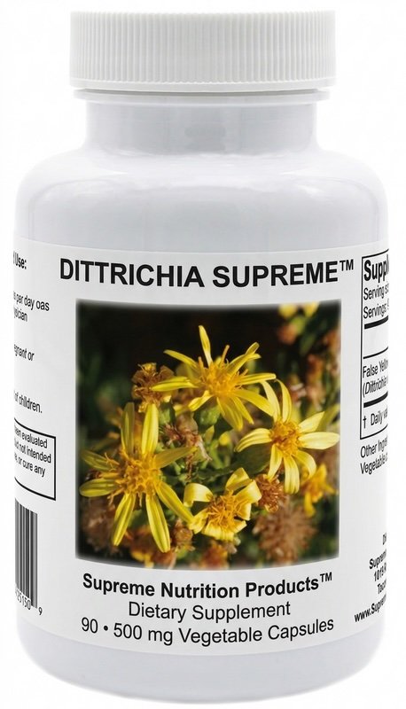 Dittrichia_Front__15715.jpeg