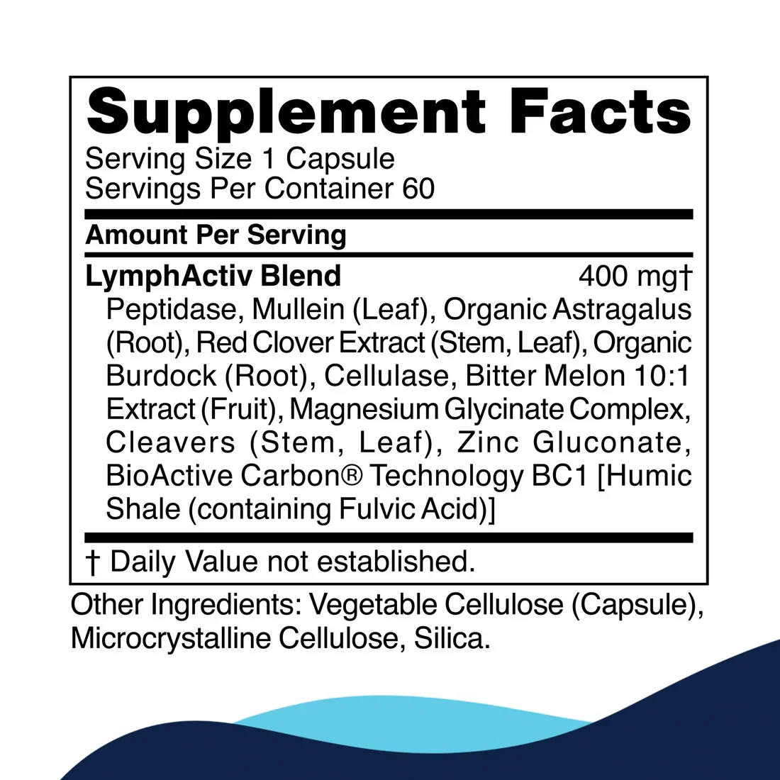 LymphActiv-HighlightImage_4_1100x1100.webp