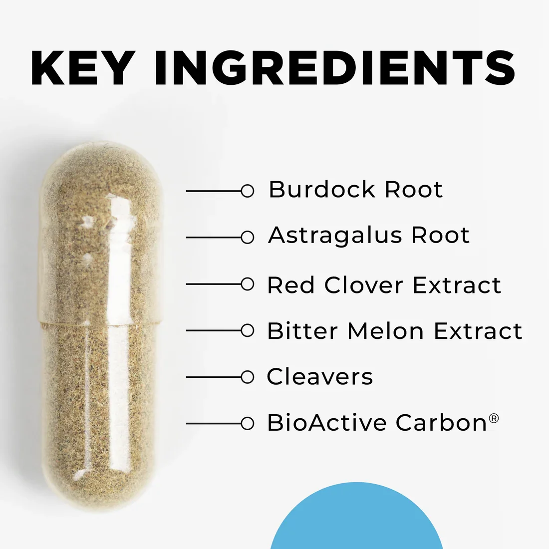 LymphActiv-KeyIngredients_1100x1100.webp
