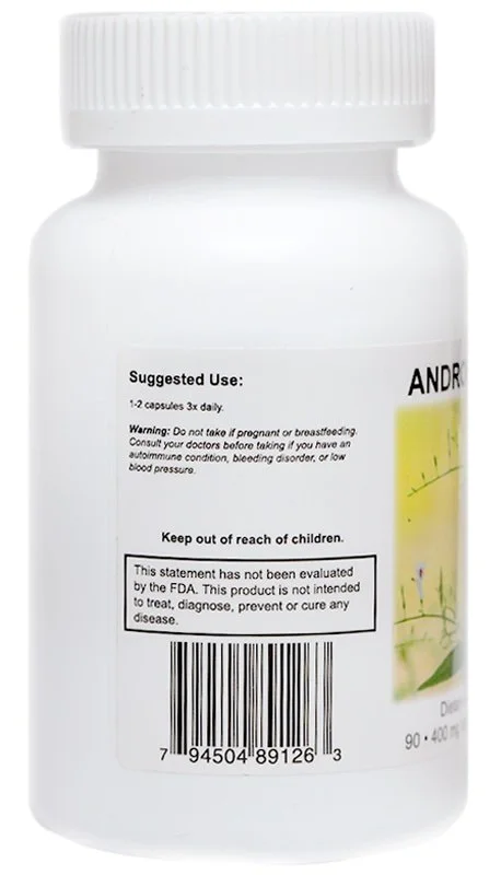 Andrographis_2_on_white__52625 (1).jpeg