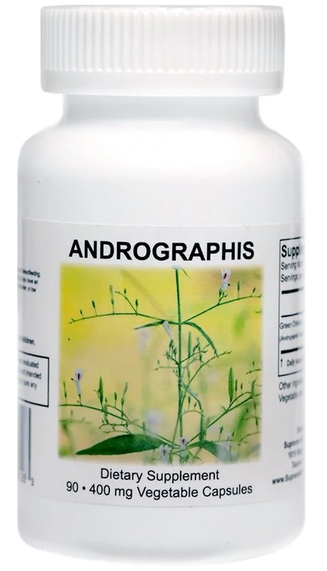 Andrographis_1_on_white__82479 (1).jpeg