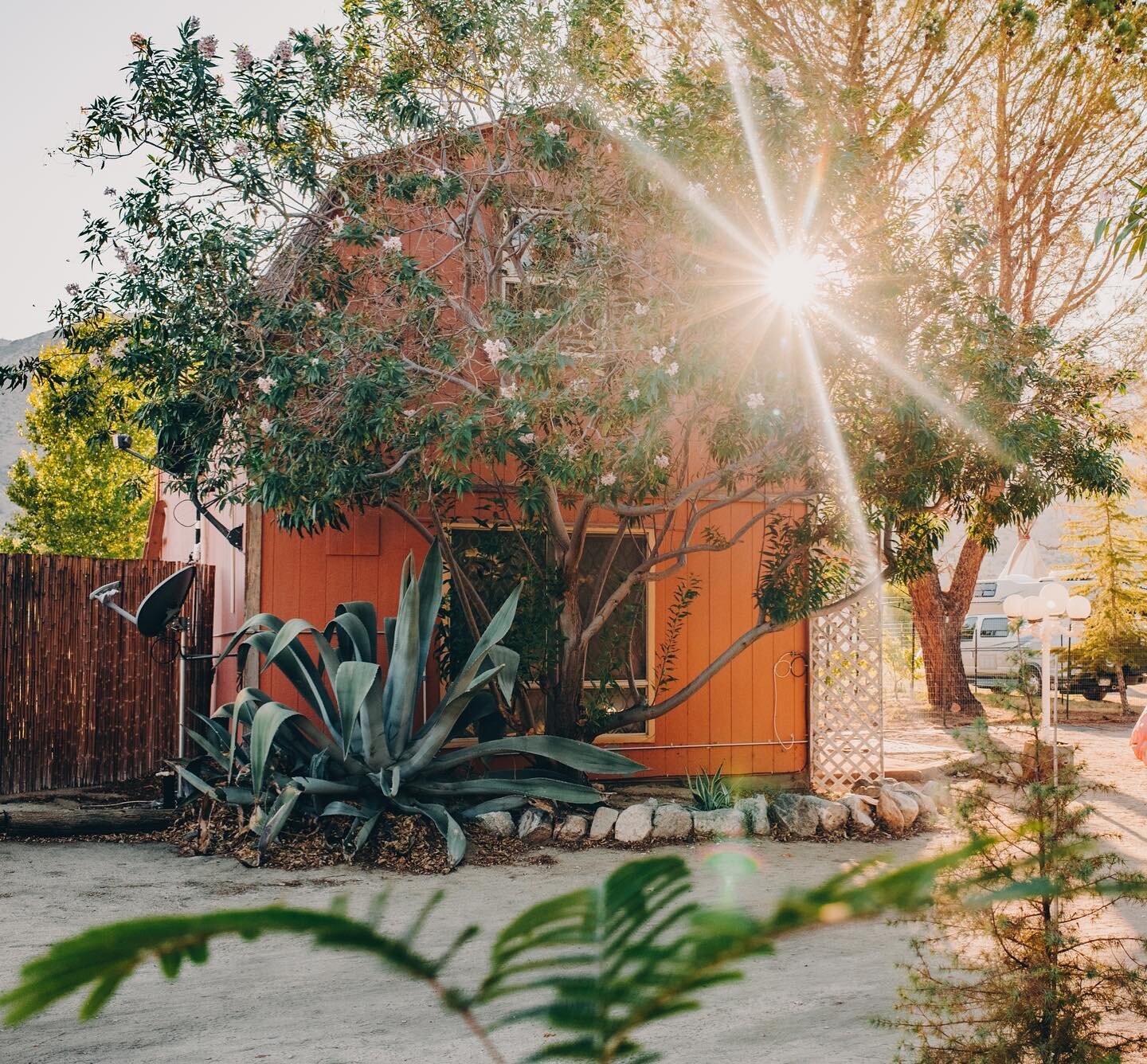 Ready to celebrate Earth under the Sun and Stars ☀️🌎✨ 

Our FREE community event is coming up so soon and we are excited to share the beauty of @nativespringsoasis with you! 💧🌵🌻🍄 

Permaculture class, little sprouts gardening fun for the kiddos,