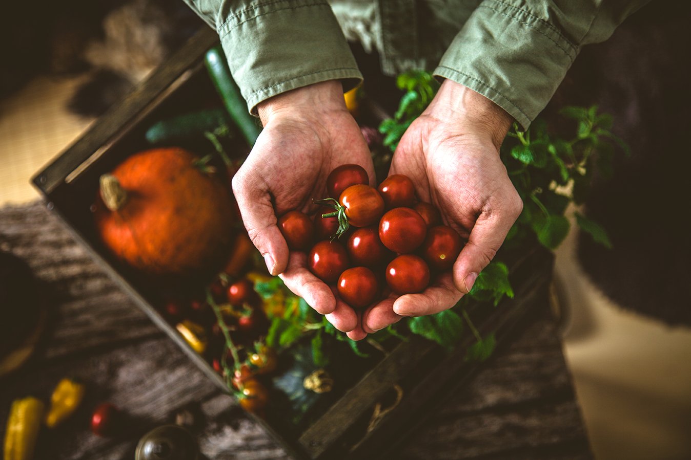 shutterstock_Tomatoes_72ppi.jpg